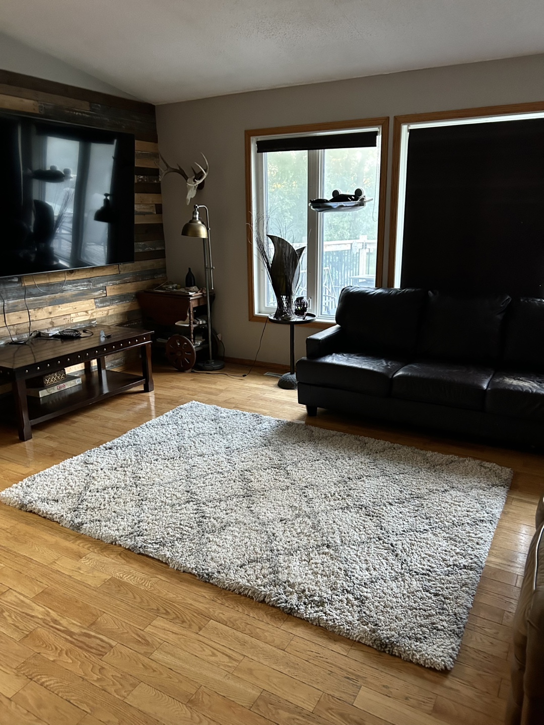 Shaggy Area Rug - Neutral Tones