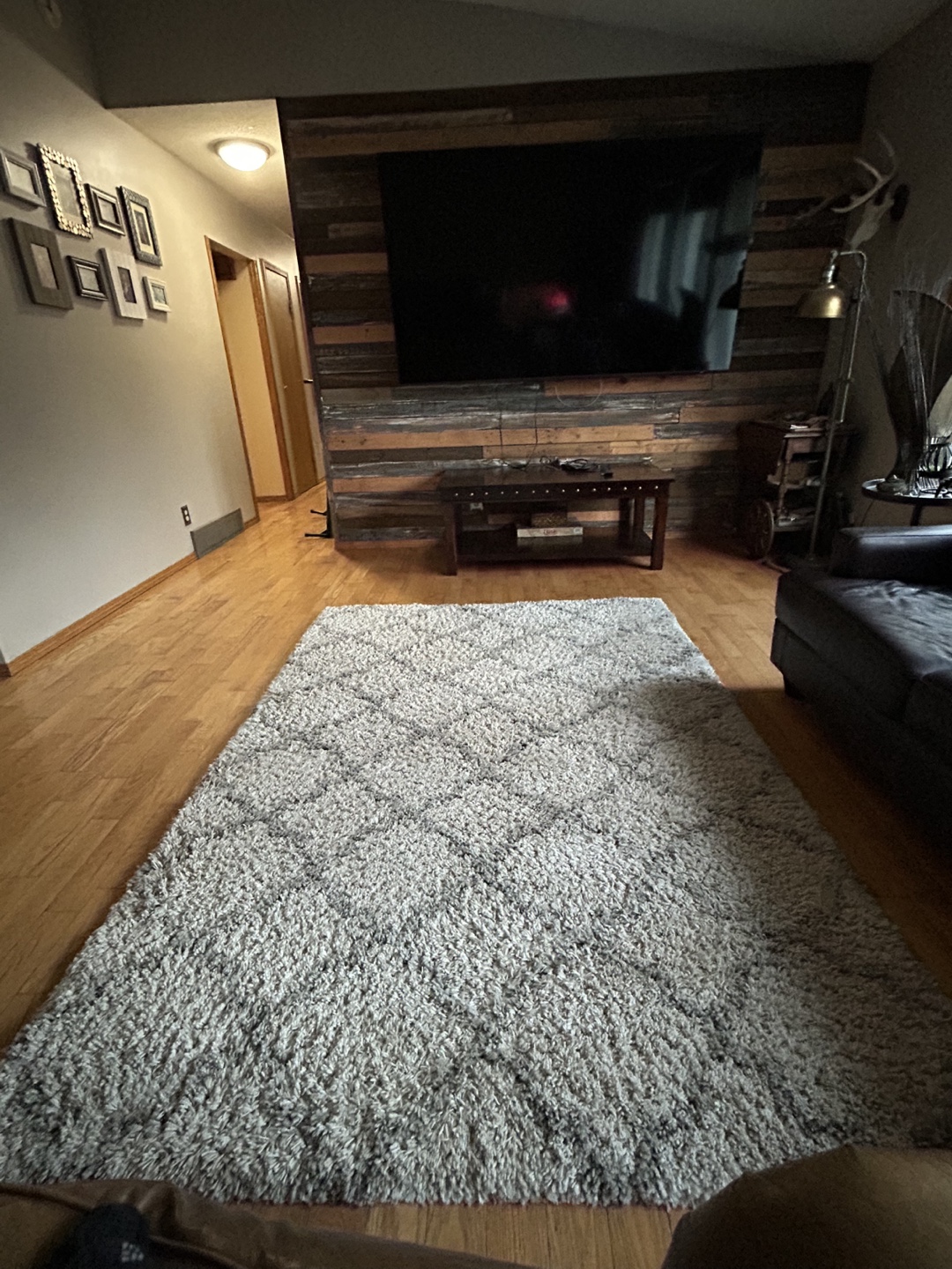 Shaggy Area Rug - Neutral Tones - photo 2