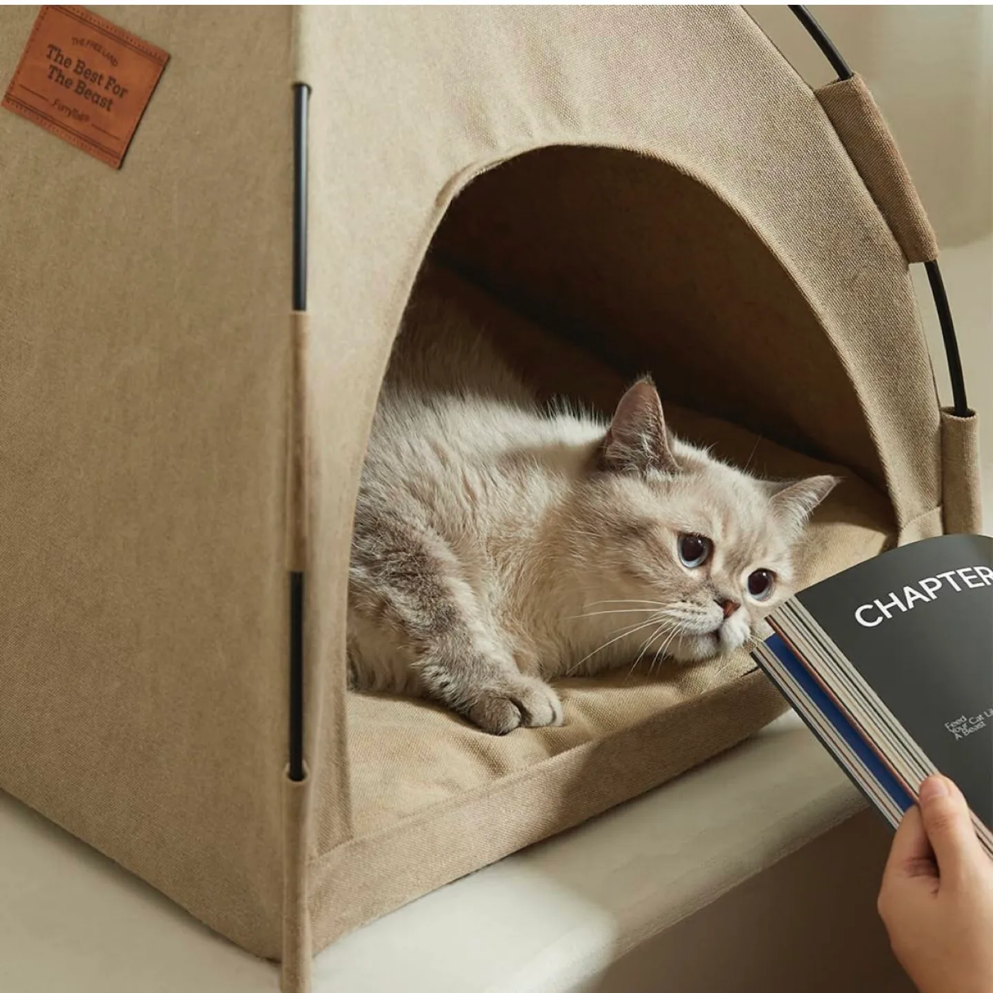 Cat Bed for Indoor Cats, Cat Houses, pet beds image indicator(3)