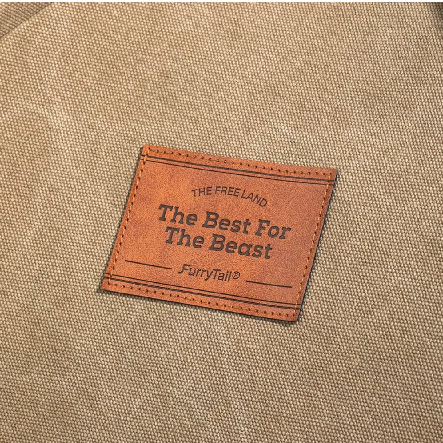 Cat Bed for Indoor Cats, Cat Houses, pet beds image indicator(4)