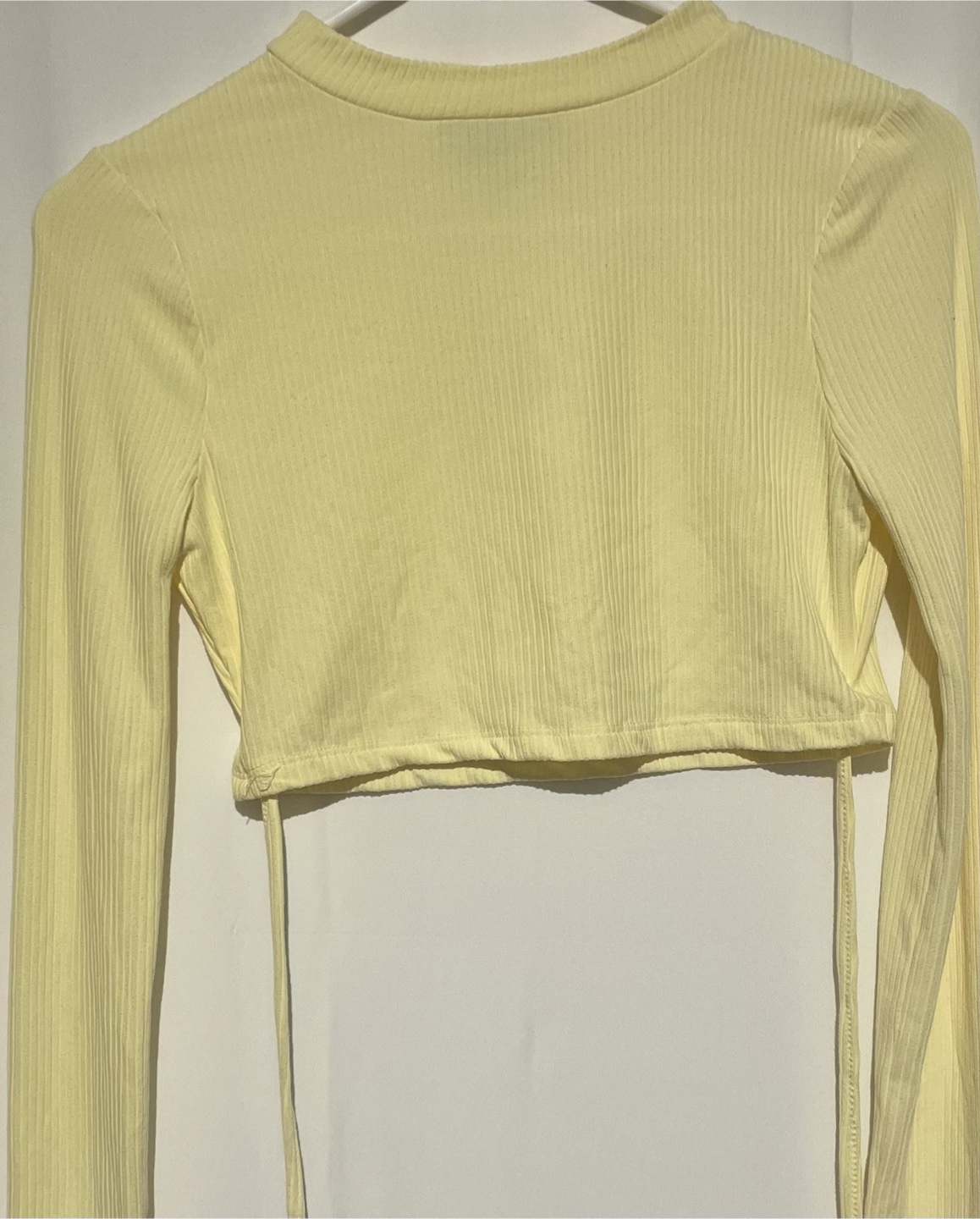 Two New Yellow Long Sleeve Crop Top