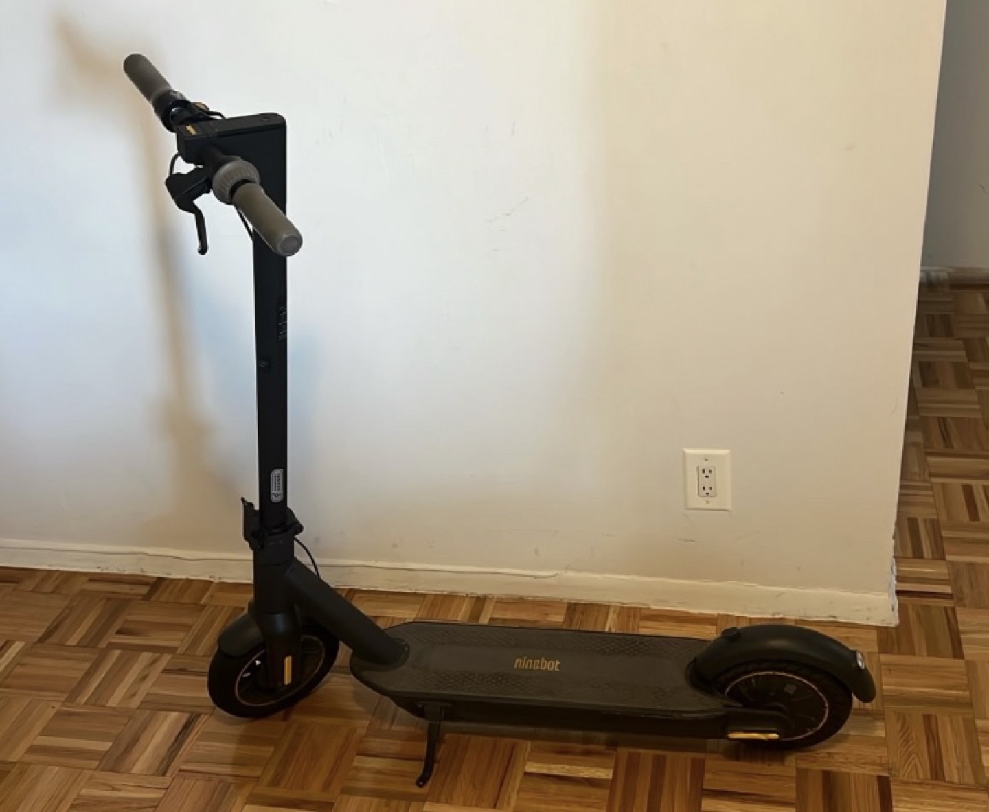 Ninebot KickScooter MAX G30P