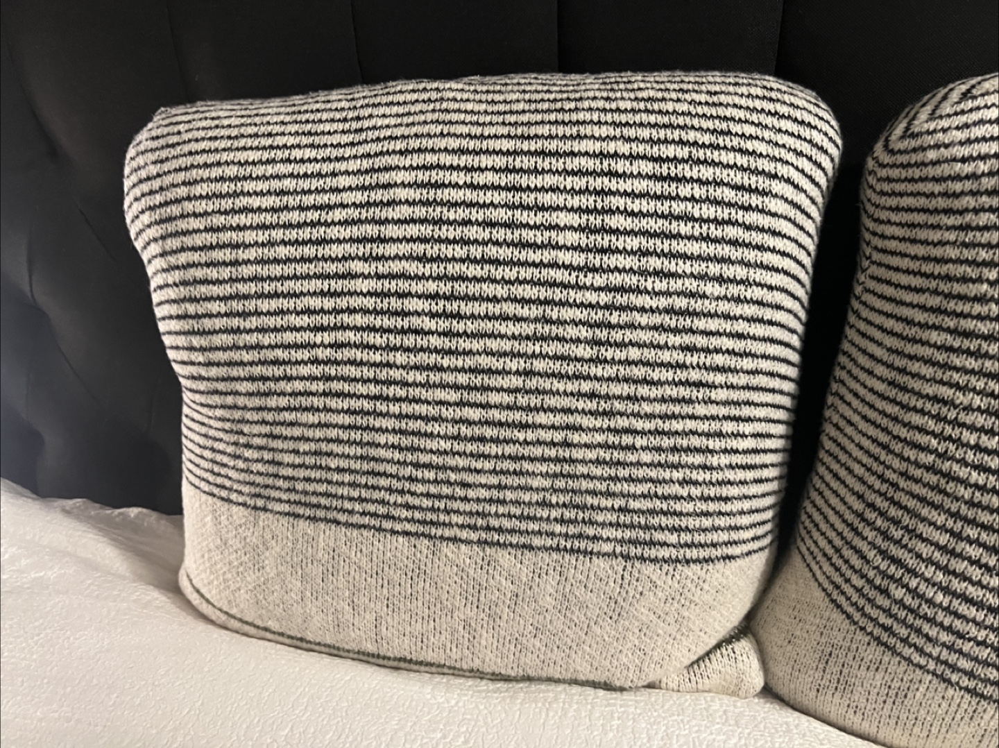 Decorative Throw Pillows - photo 3