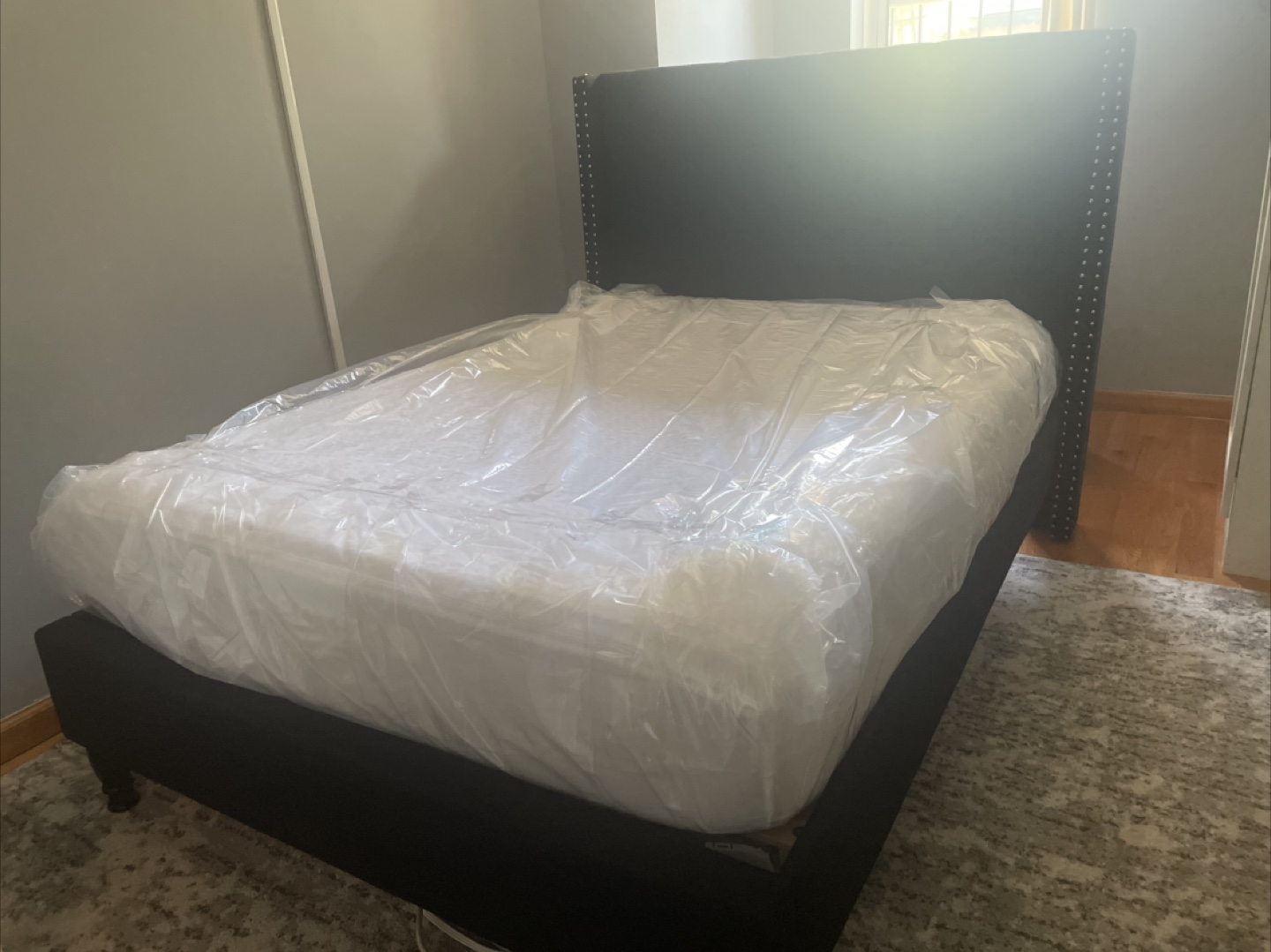 🥕 Upholstered Bed Frame and mattress