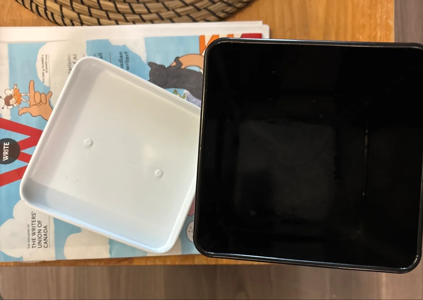 Odds and Ends Black Storage Container image indicator(2)