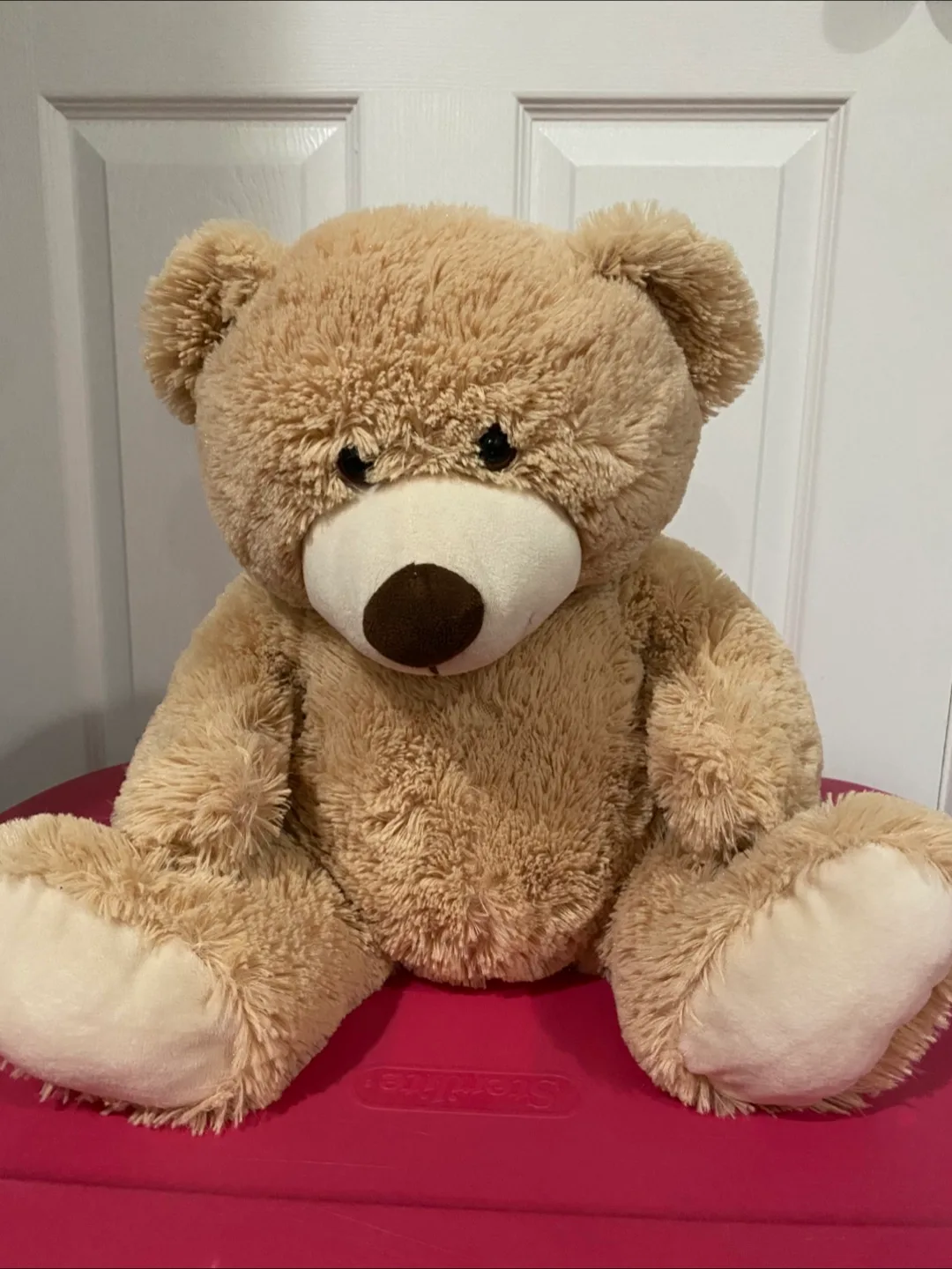 Fluffy Beige Teddy Bear thumbnail