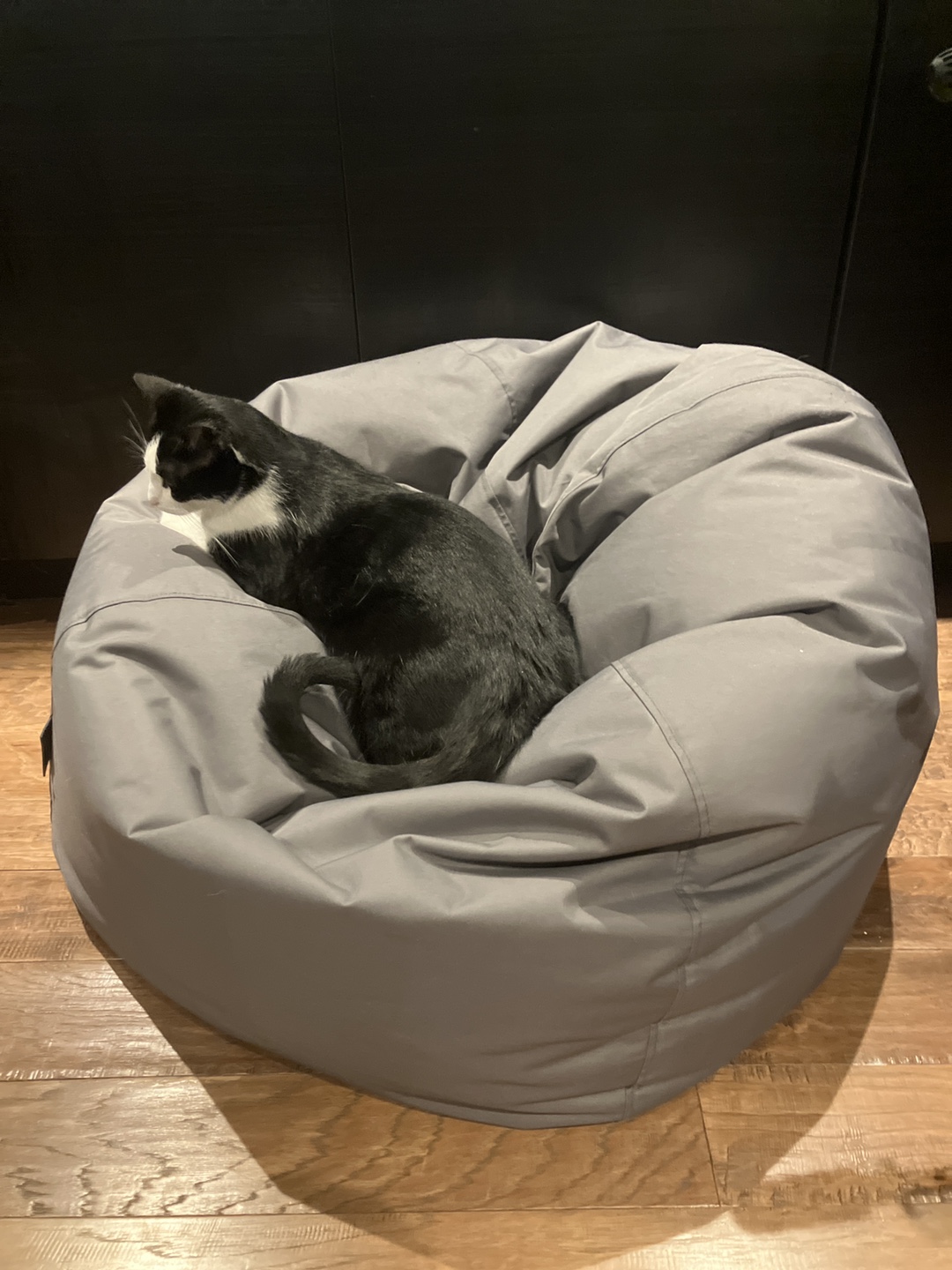 Grey Bean Bag Chair