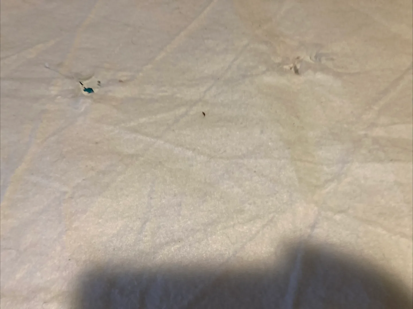 FREE Children’s Mattress Protector image indicator(4)