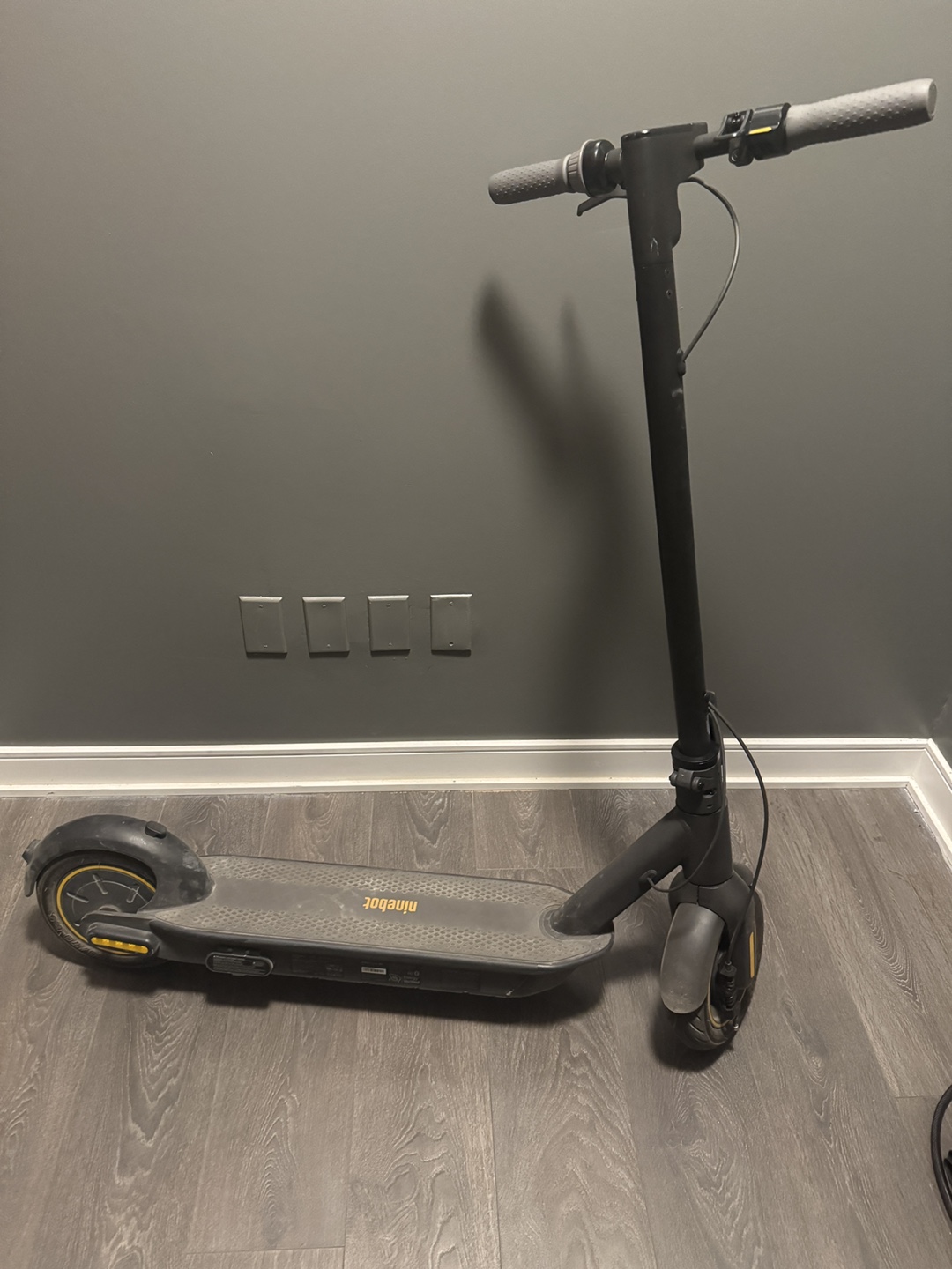 Ninebot Electric Scooter