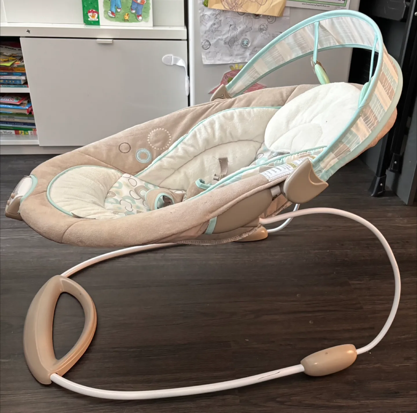 Ingenuity Baby Bouncer image indicator(4)