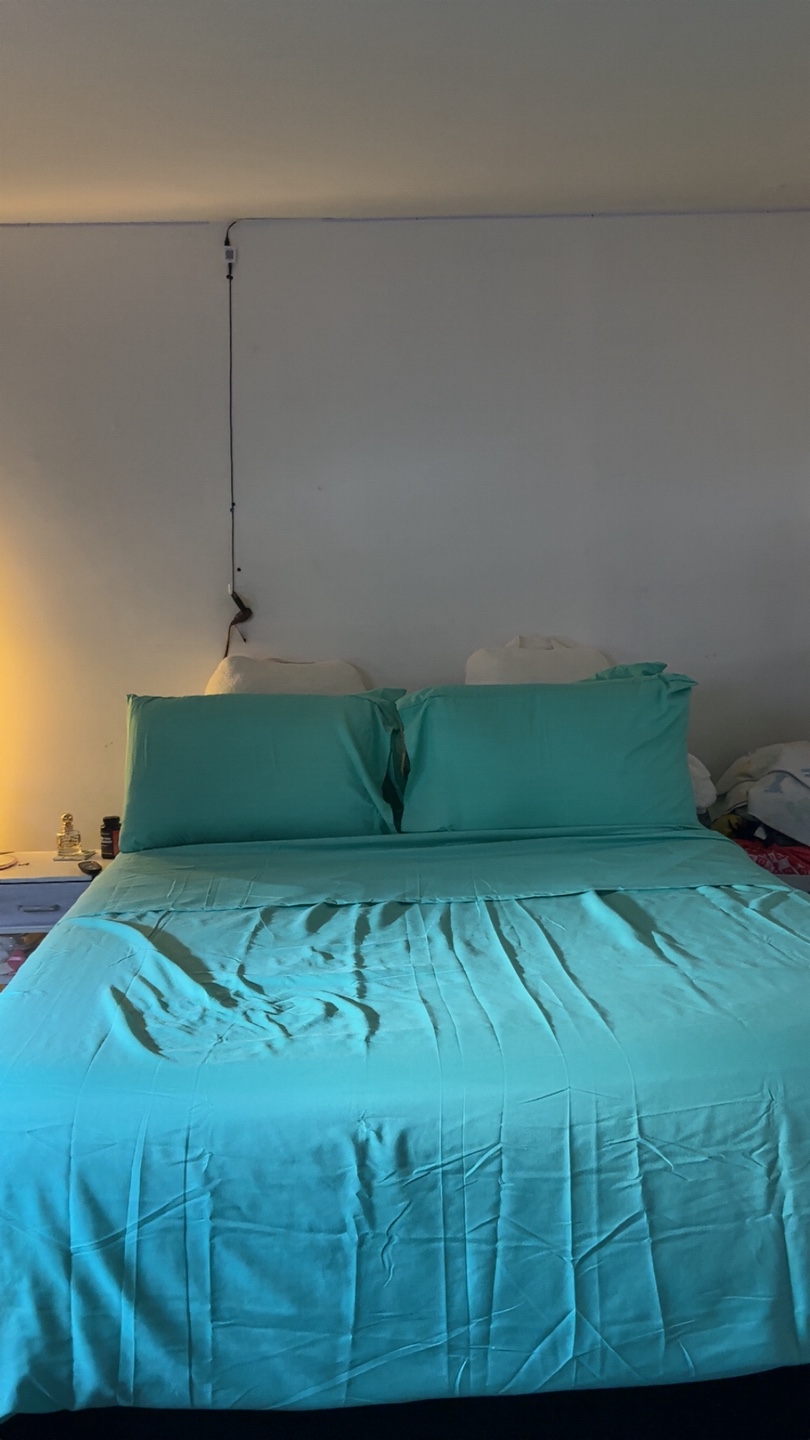Queen Size Mint Green Bed 6 Piece Sheet Set