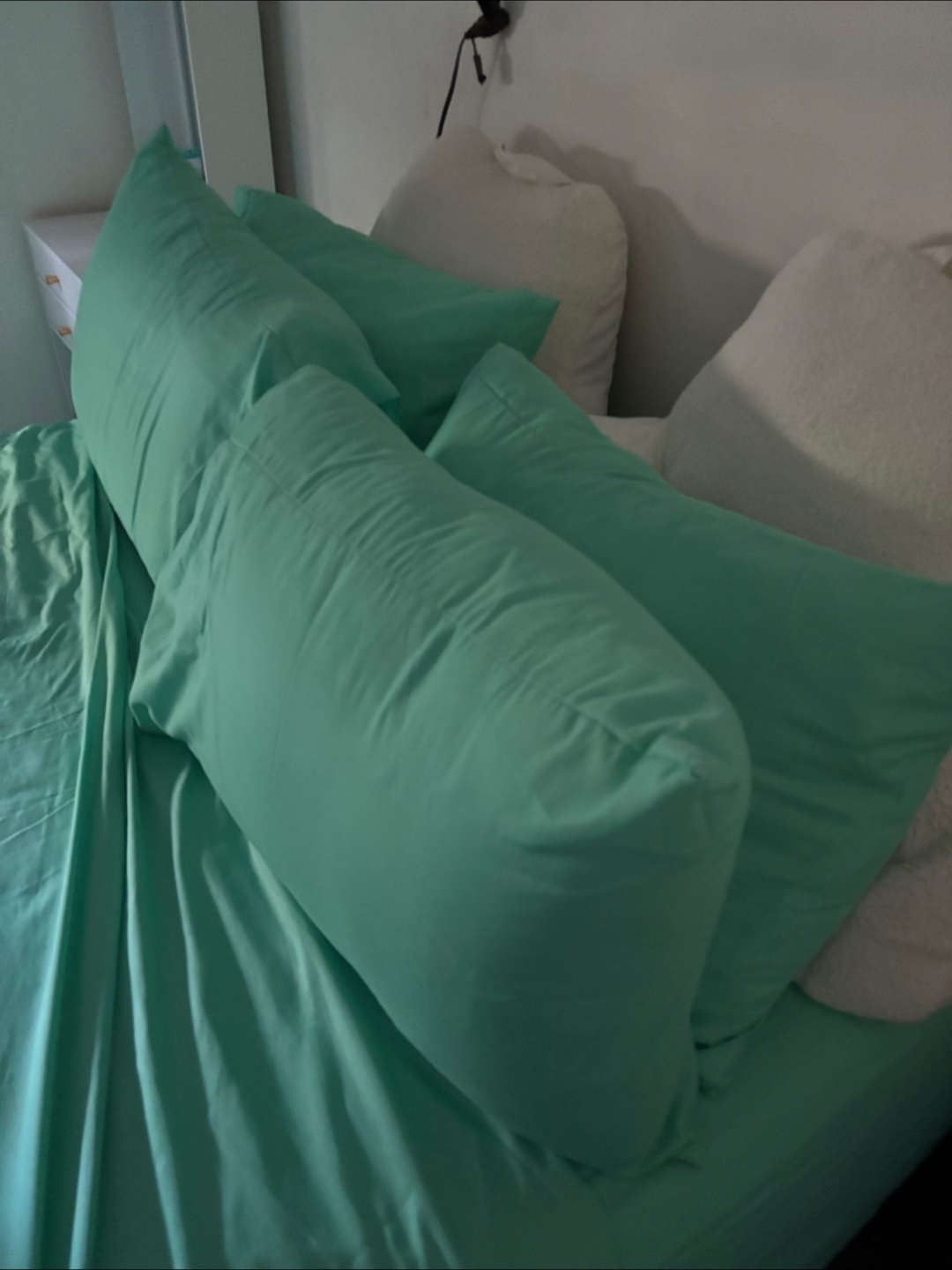Queen Size Mint Green Bed 6 Piece Sheet Set - photo 3