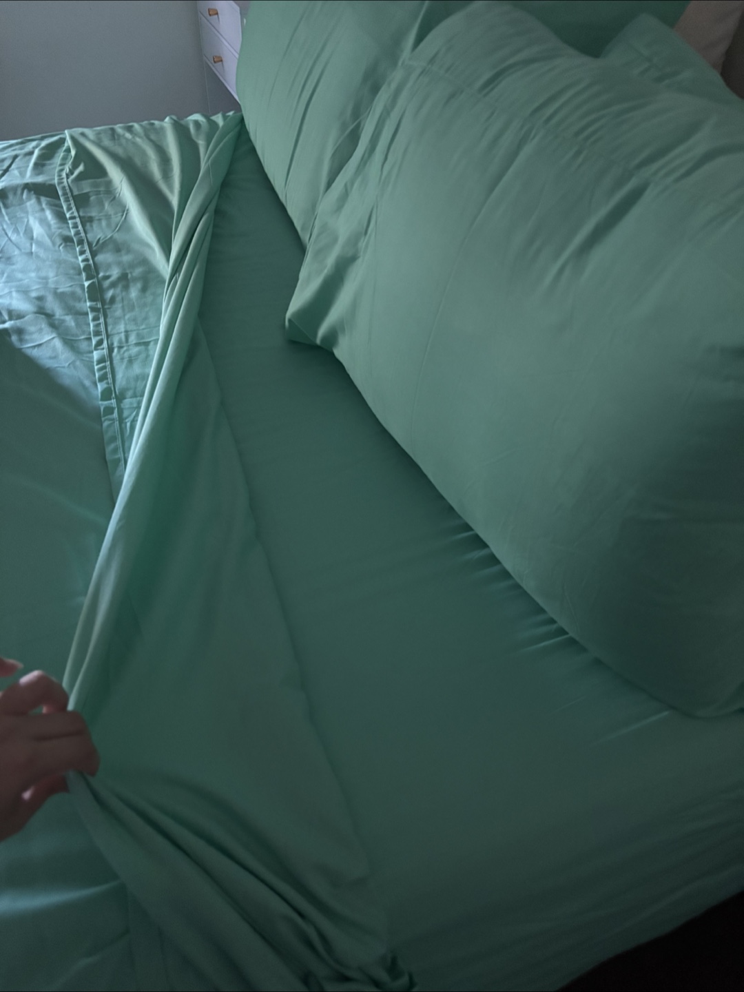 Queen Size Mint Green Bed 6 Piece Sheet Set - photo 4