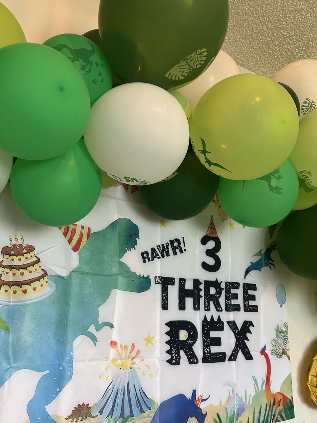 Dinosaur themed party decorations