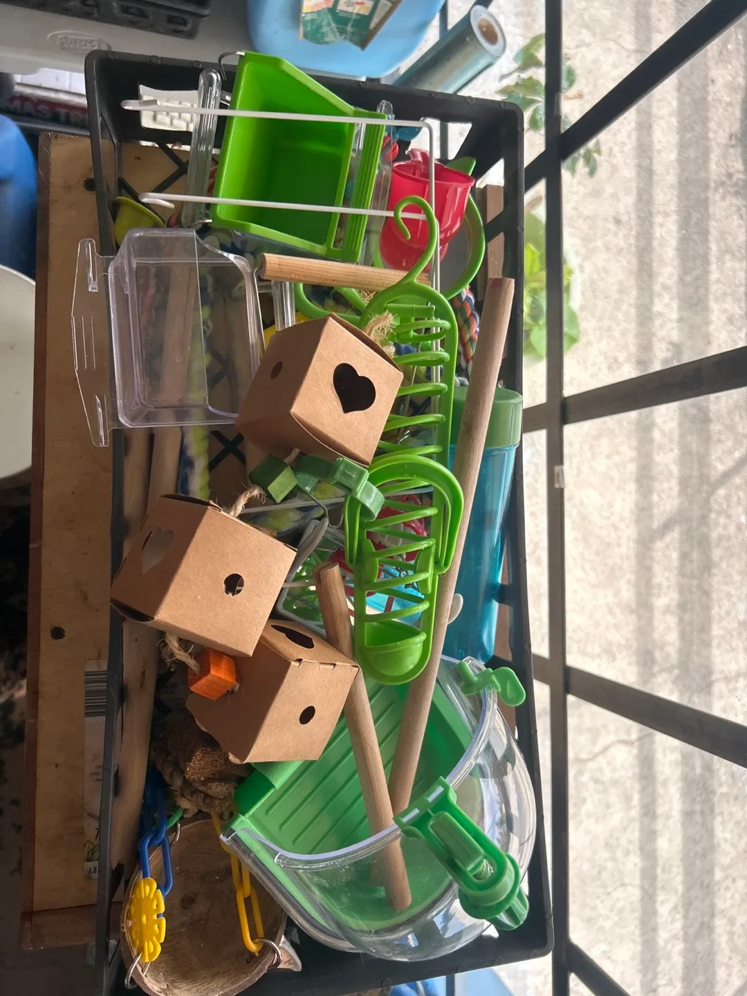 Various Bird Toys thumbnail
