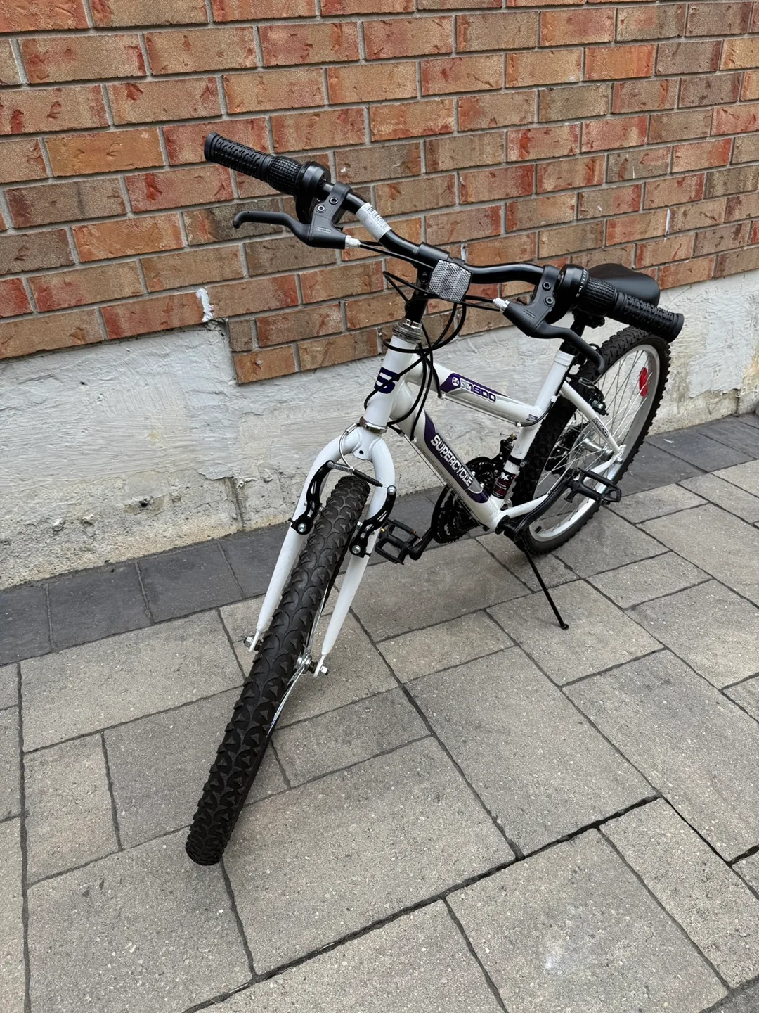 Bicycle Supercycle 24” wheels/frame image indicator(2)