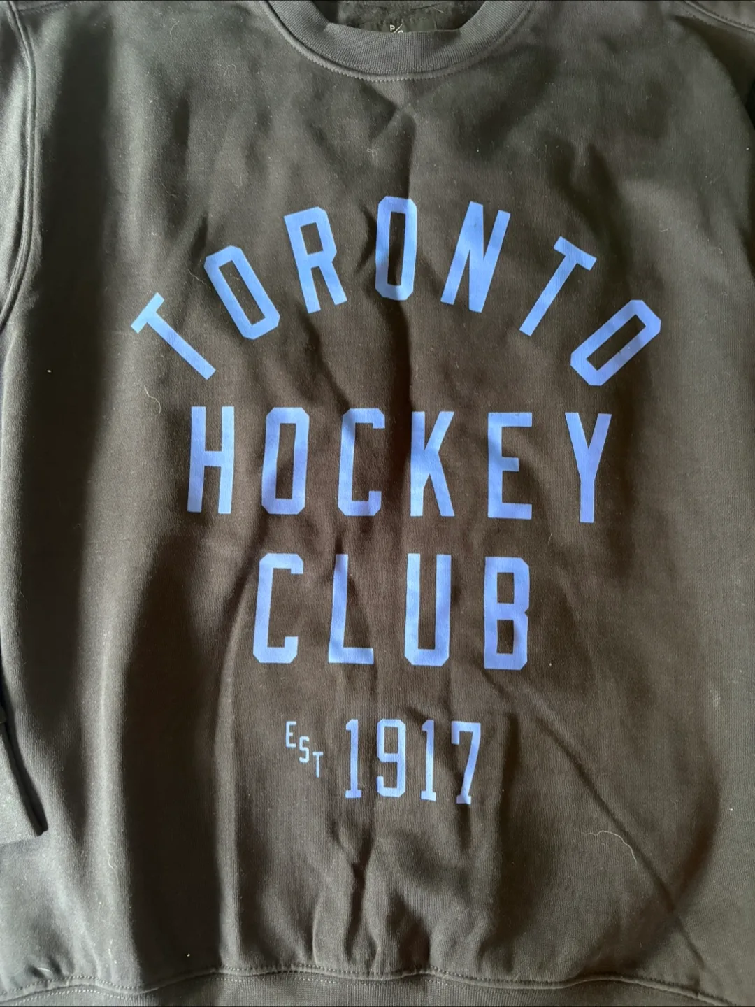 BNWT! Toronto Maple Leafs Heavyweight Crewneck Hockey Club image indicator(2)