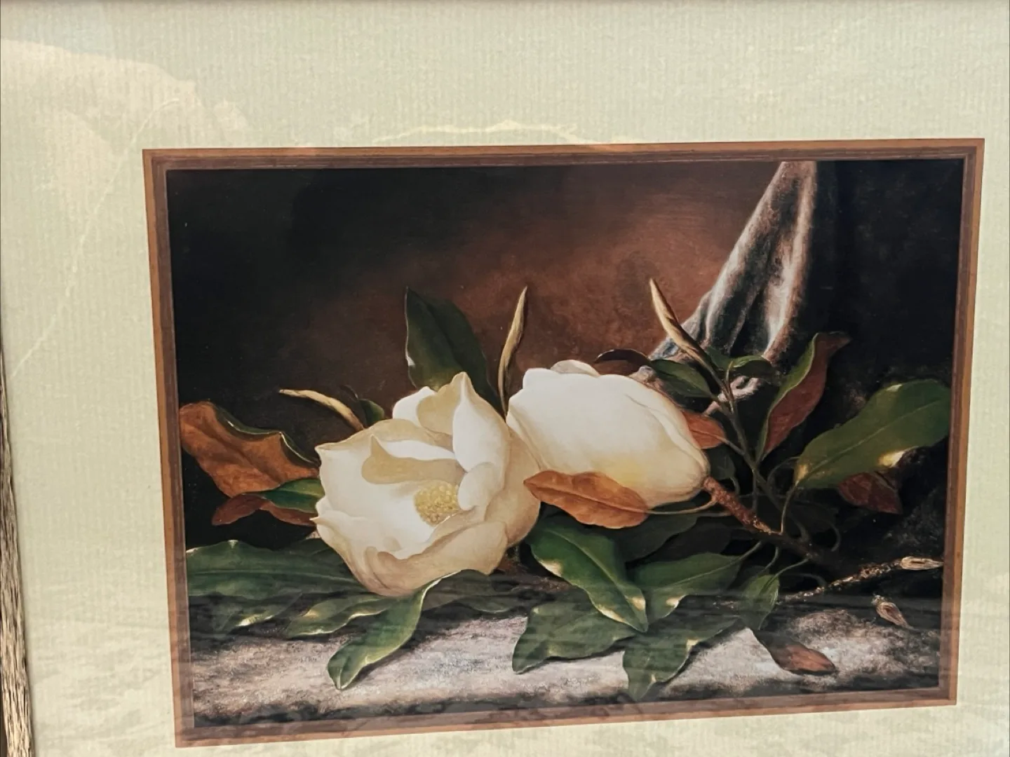 Framed Floral Print image indicator(3)