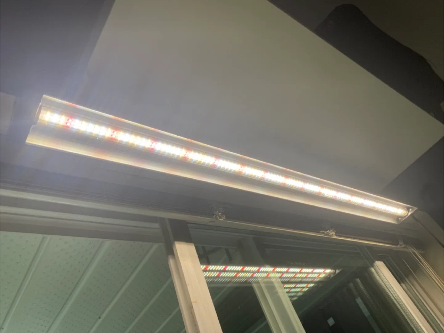 Grow Lights - 60 Watt Full Spectrum LED thumbnail