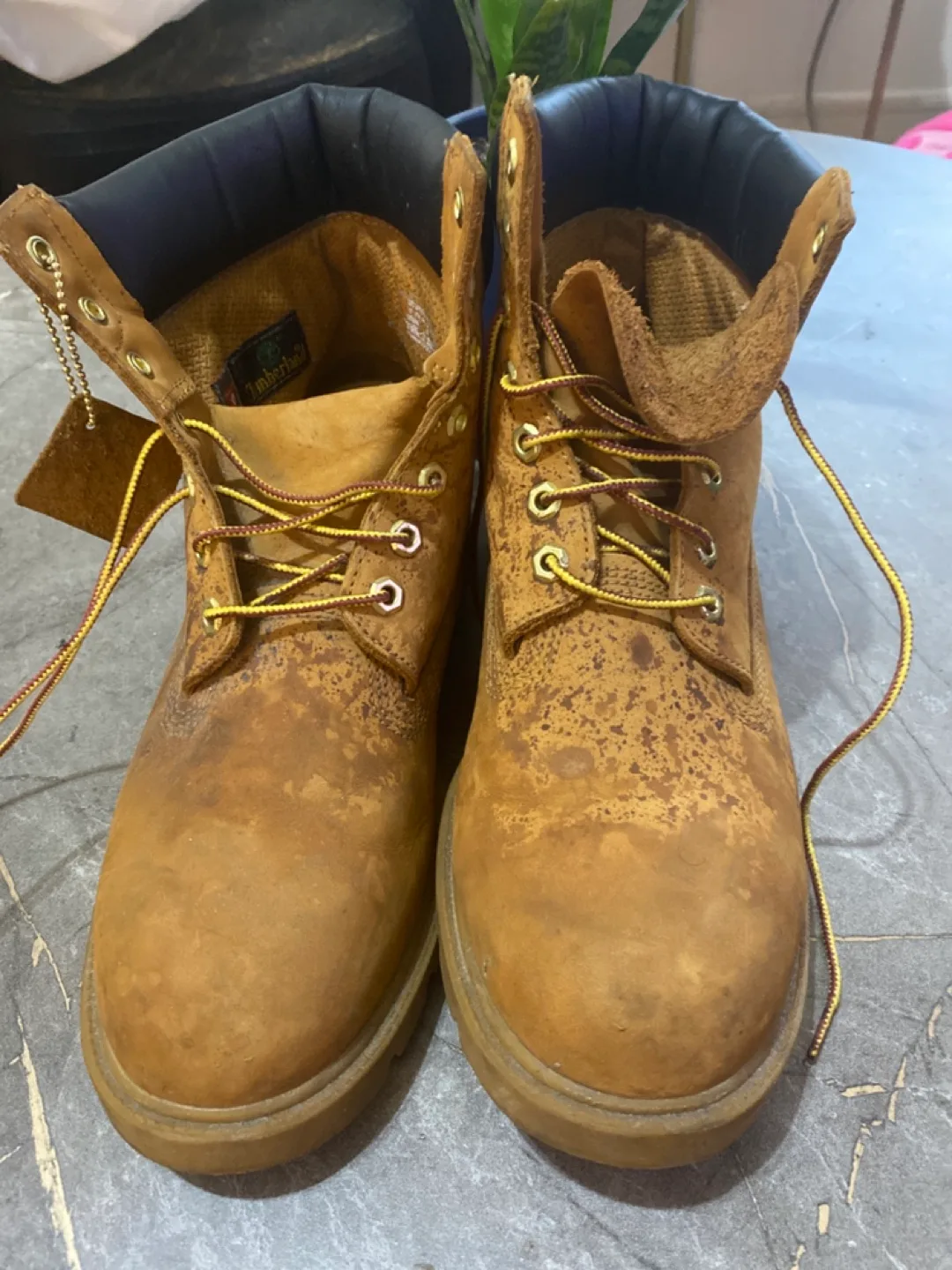 Timberland Boots image indicator(2)