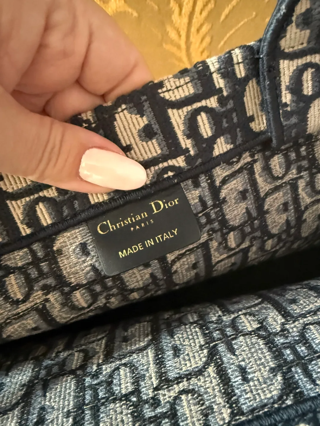 Christian Dior Large Book Tote Bag image indicator(4)