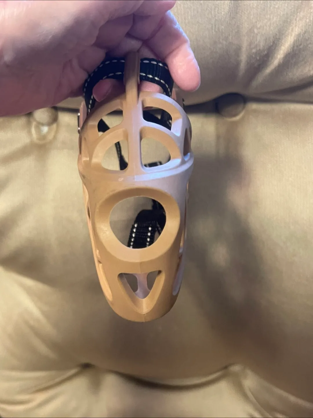 Small Dog muzzle image indicator(2)