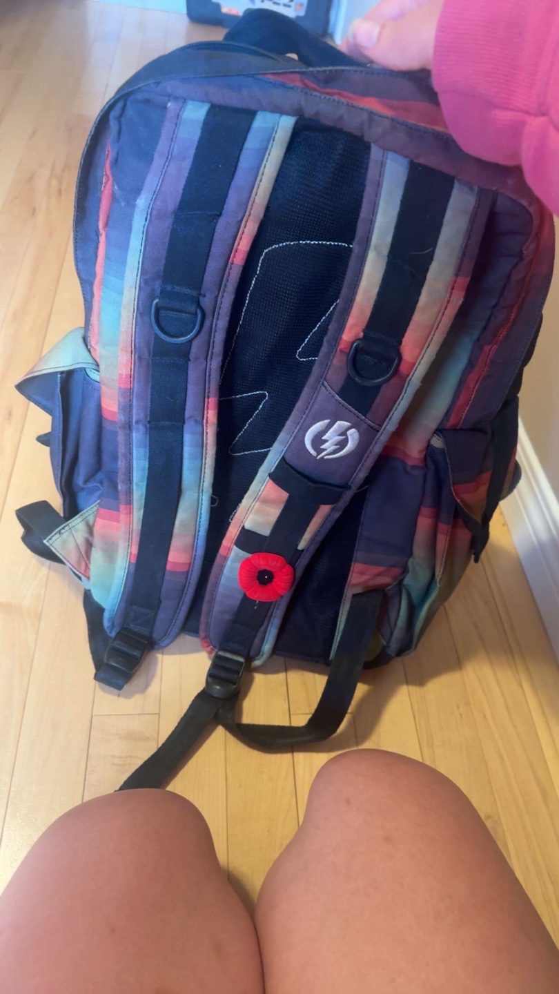Dakine Backpack - photo 5