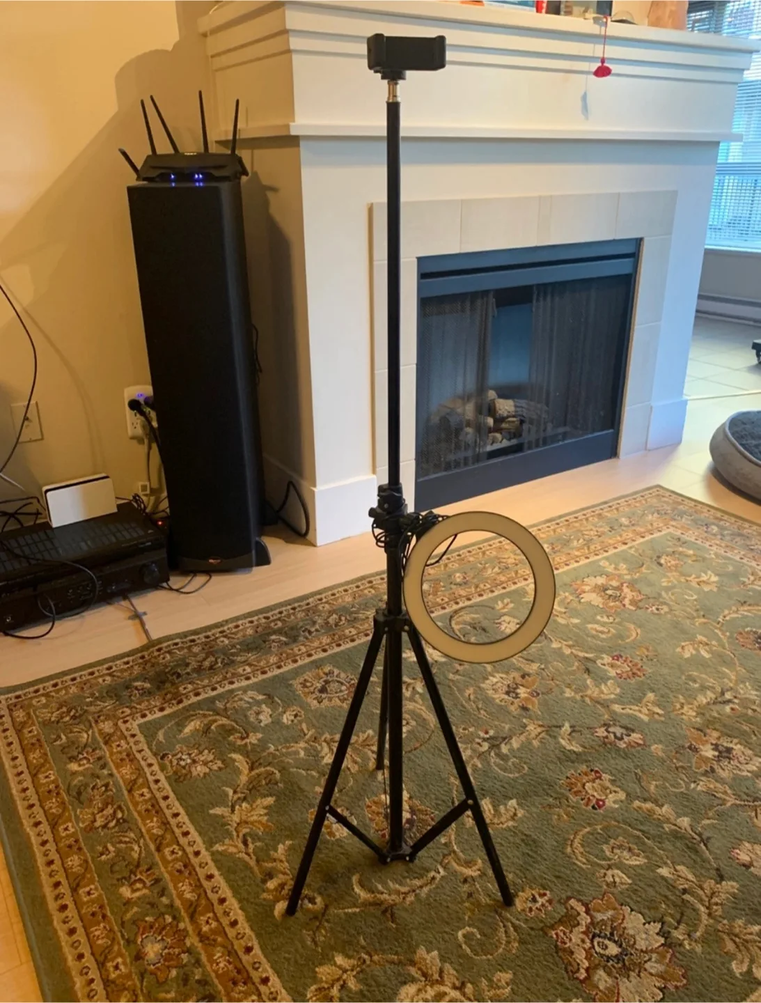 Ring Light with Tripod Stand thumbnail