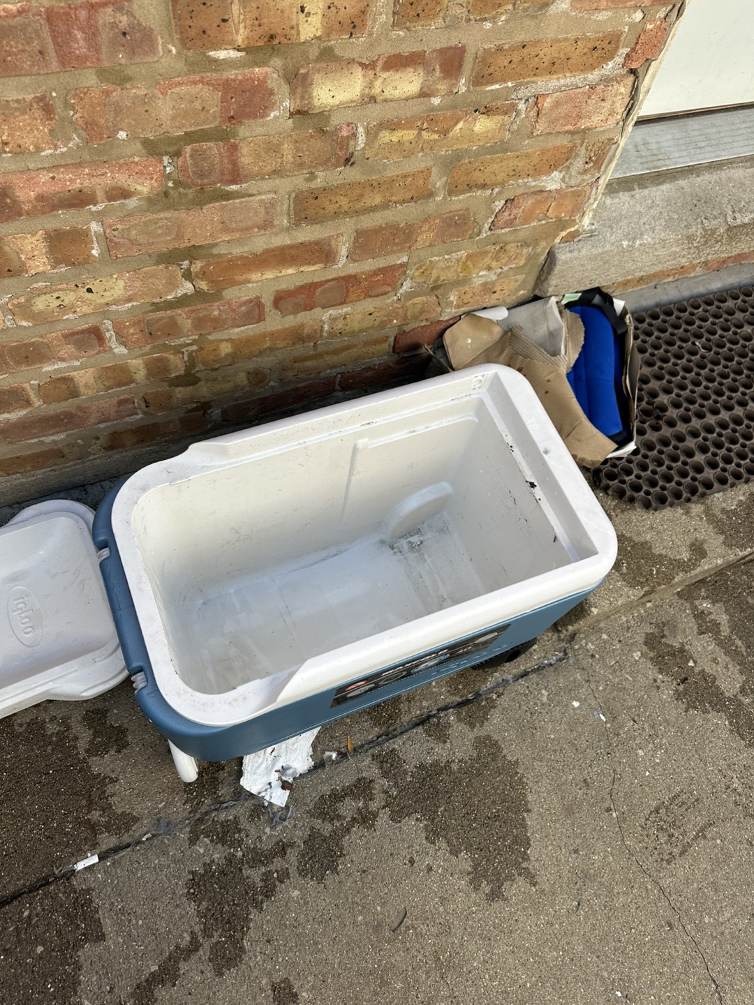 Igloo Maxcold 40 Rolling Cooler - photo 2
