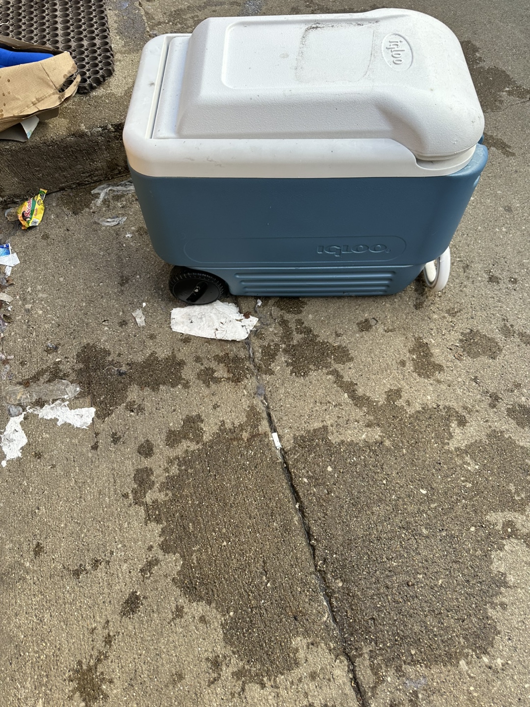 Igloo Maxcold 40 Rolling Cooler - photo 4