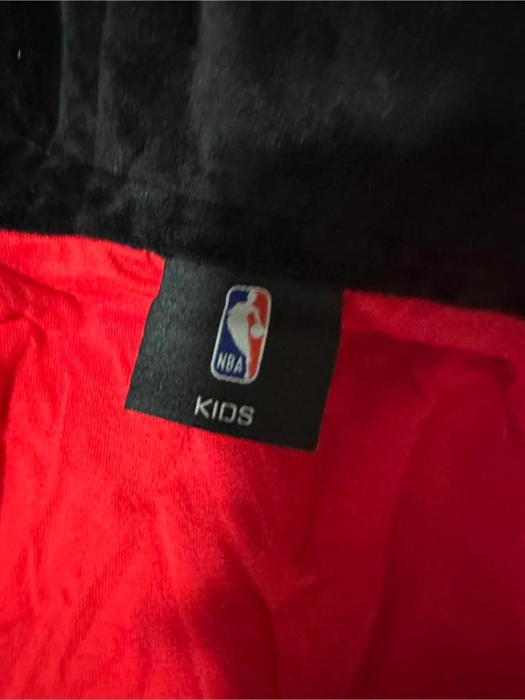 Toronto Raptors convertible Bear Hoodie Size 4-5 Years image indicator(3)