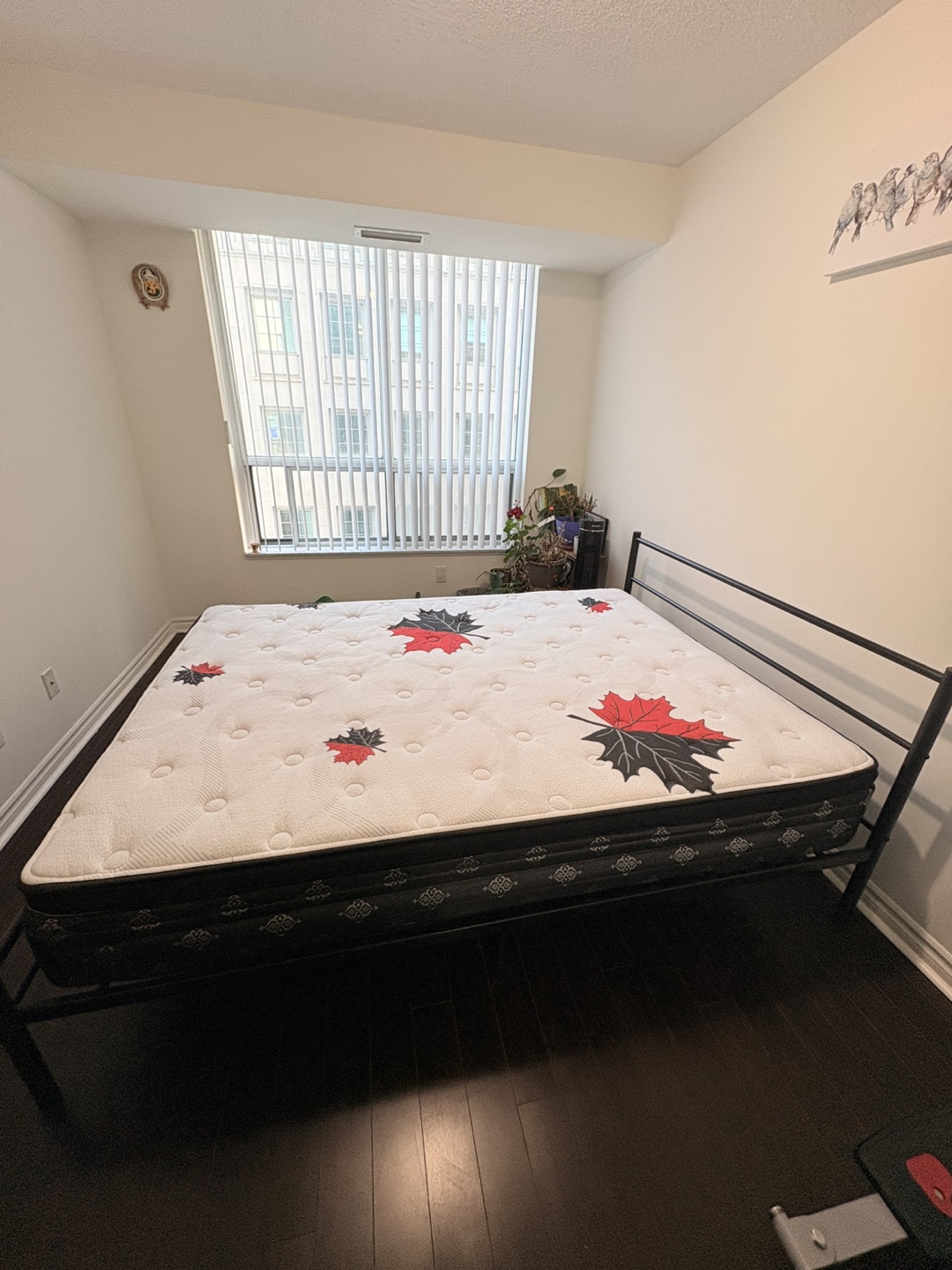 NEVER USED queen bed + frame - Zinus brand bed frame + Mattress - photo 3