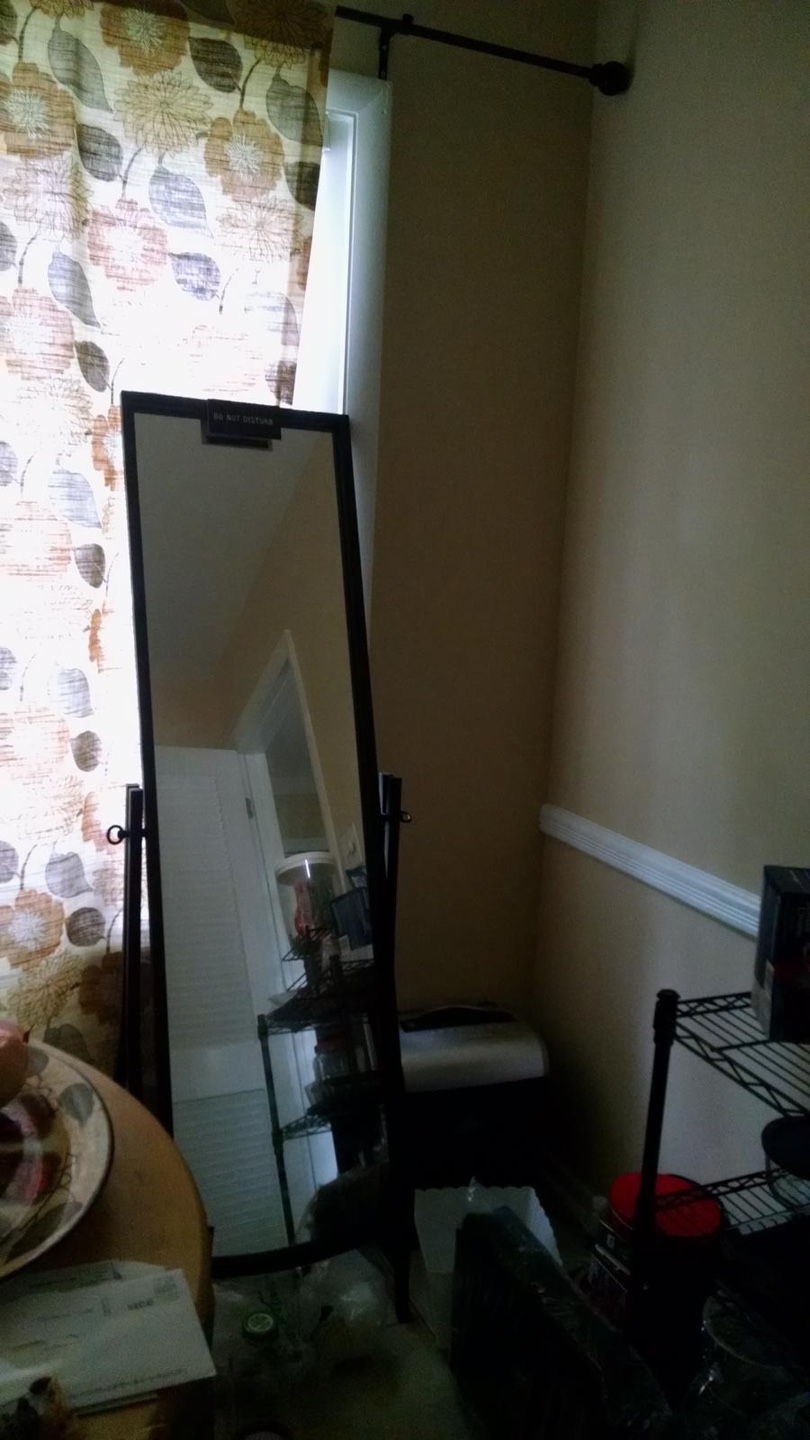 Standing Mirror