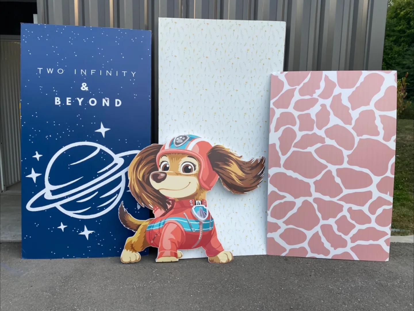 Party Backdrop Set - Barbie, Groovy, Paw Patrol