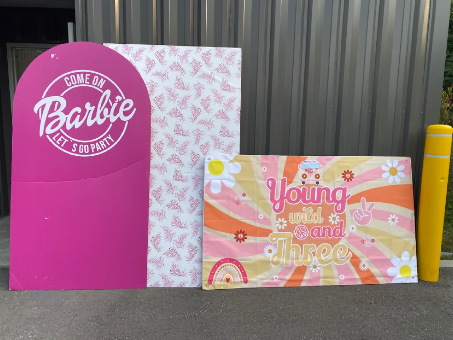 Party Backdrop Set - Barbie, Groovy, Paw Patrol image indicator(2)