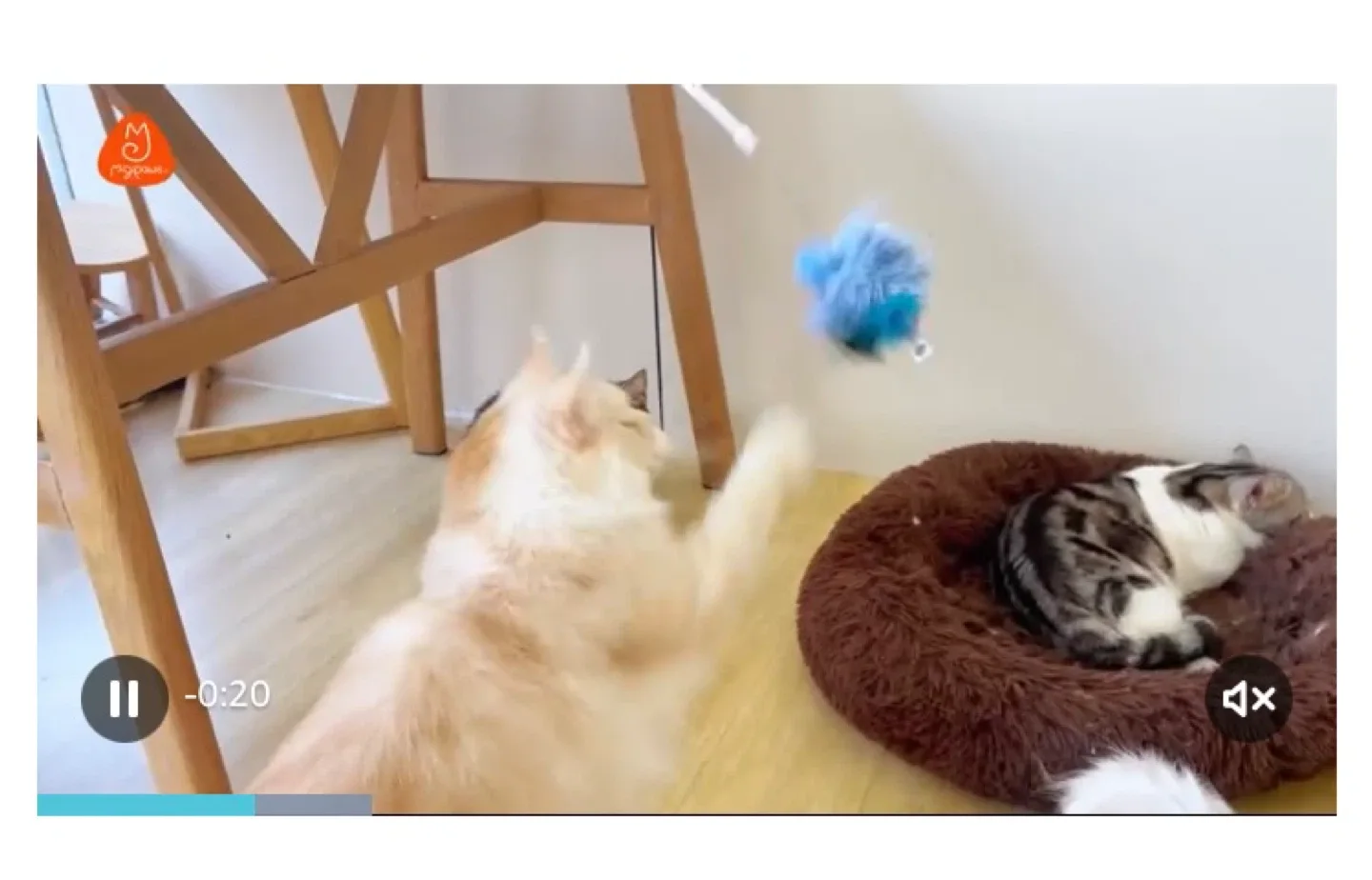 Migipaws Interactive Flapping Bird Cat Toy image indicator(8)