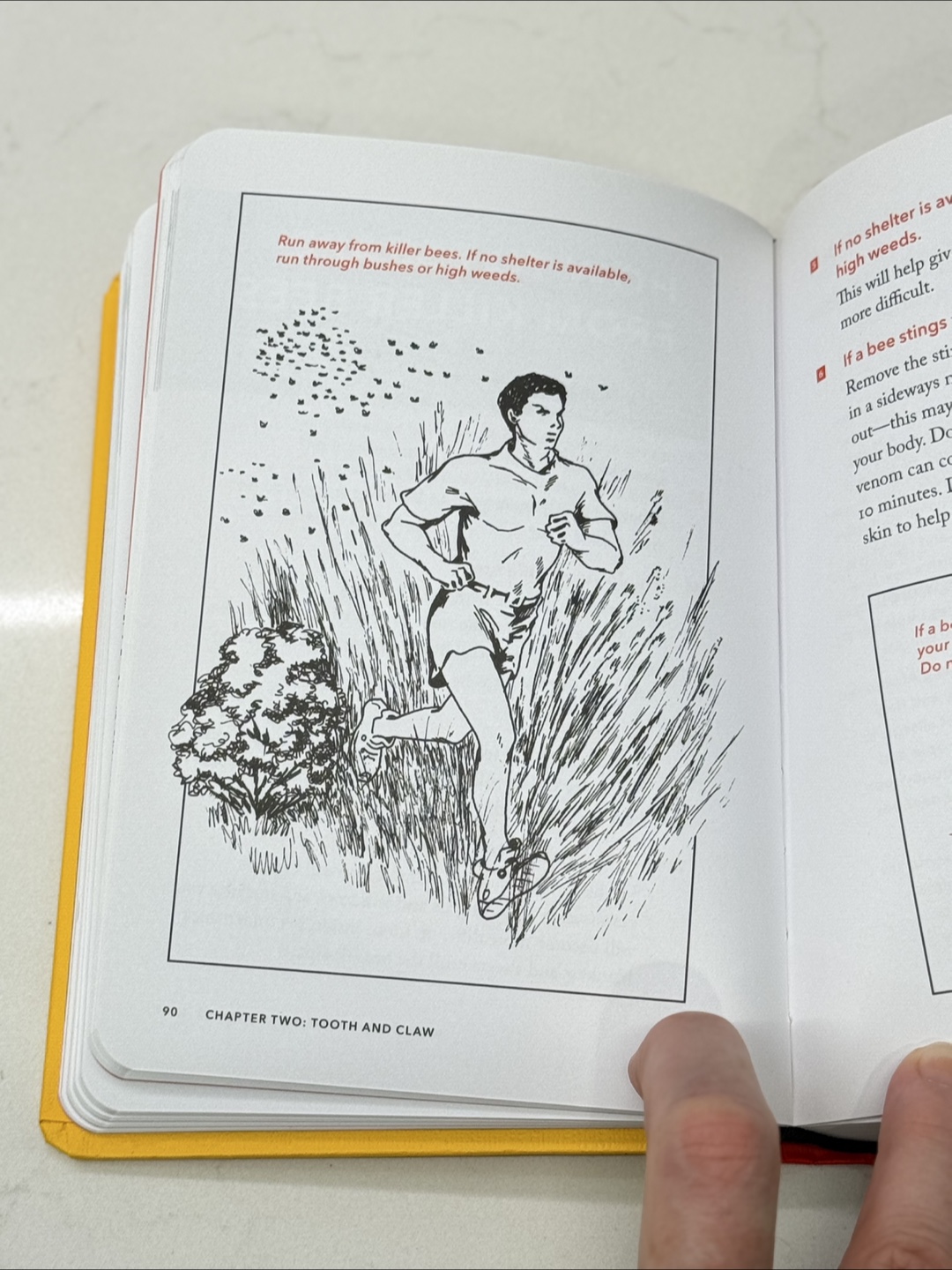 The Worst-Case Scenario Survival Handbook - photo 3