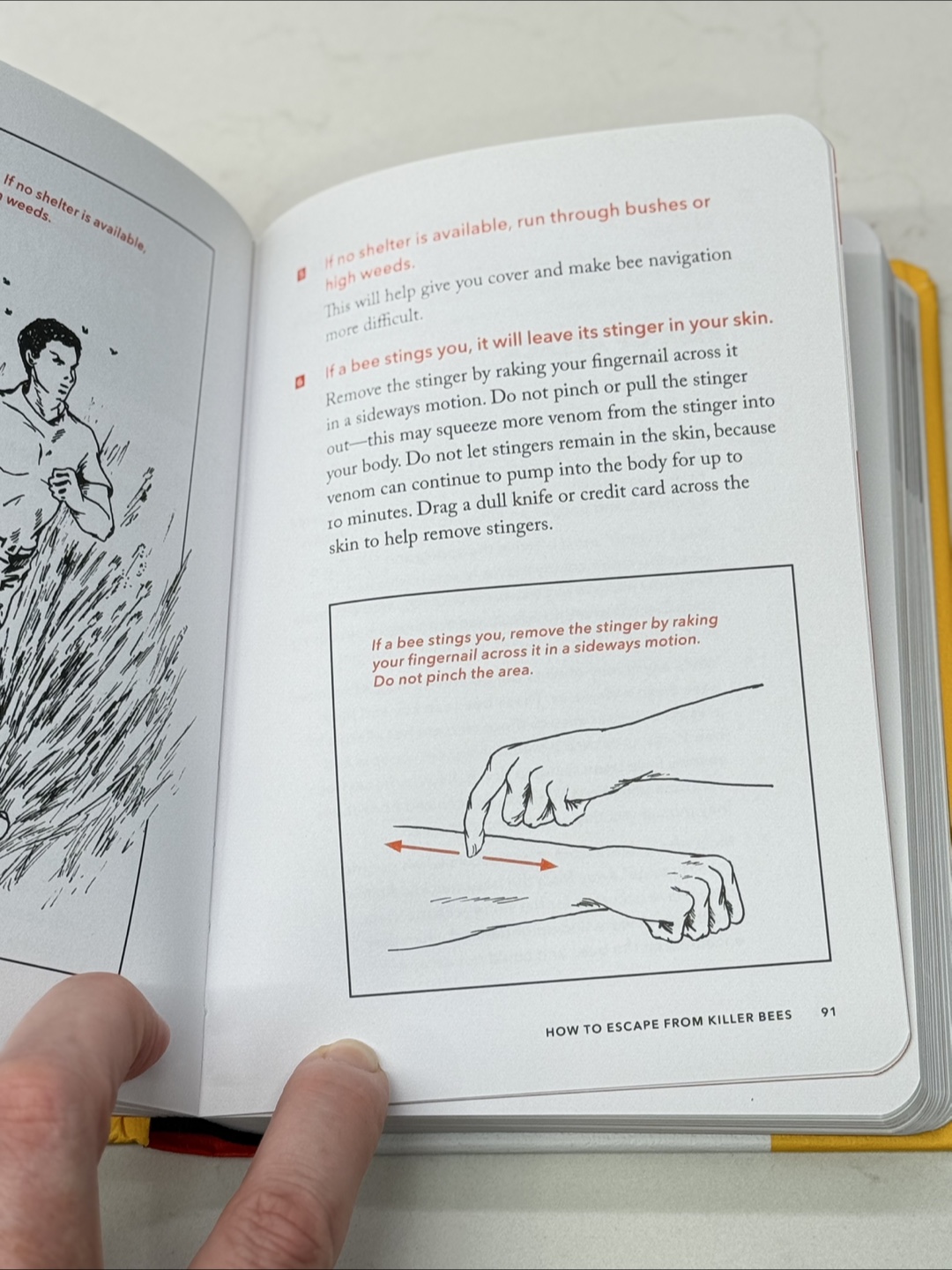 The Worst-Case Scenario Survival Handbook - photo 4