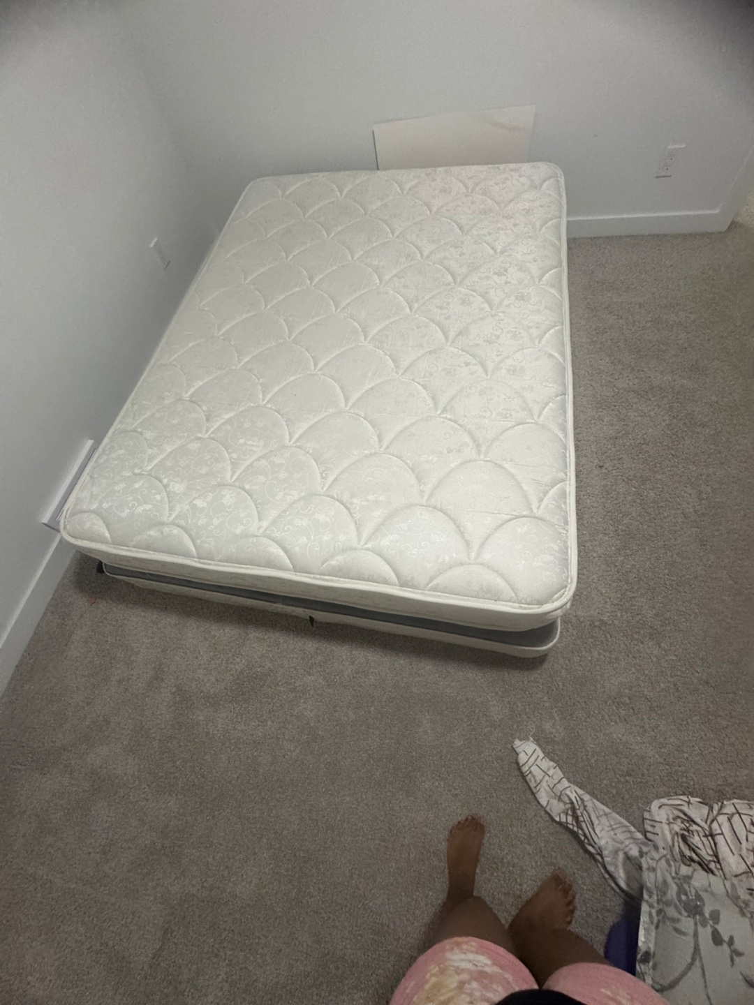 Queen  Bed bed box and mattress