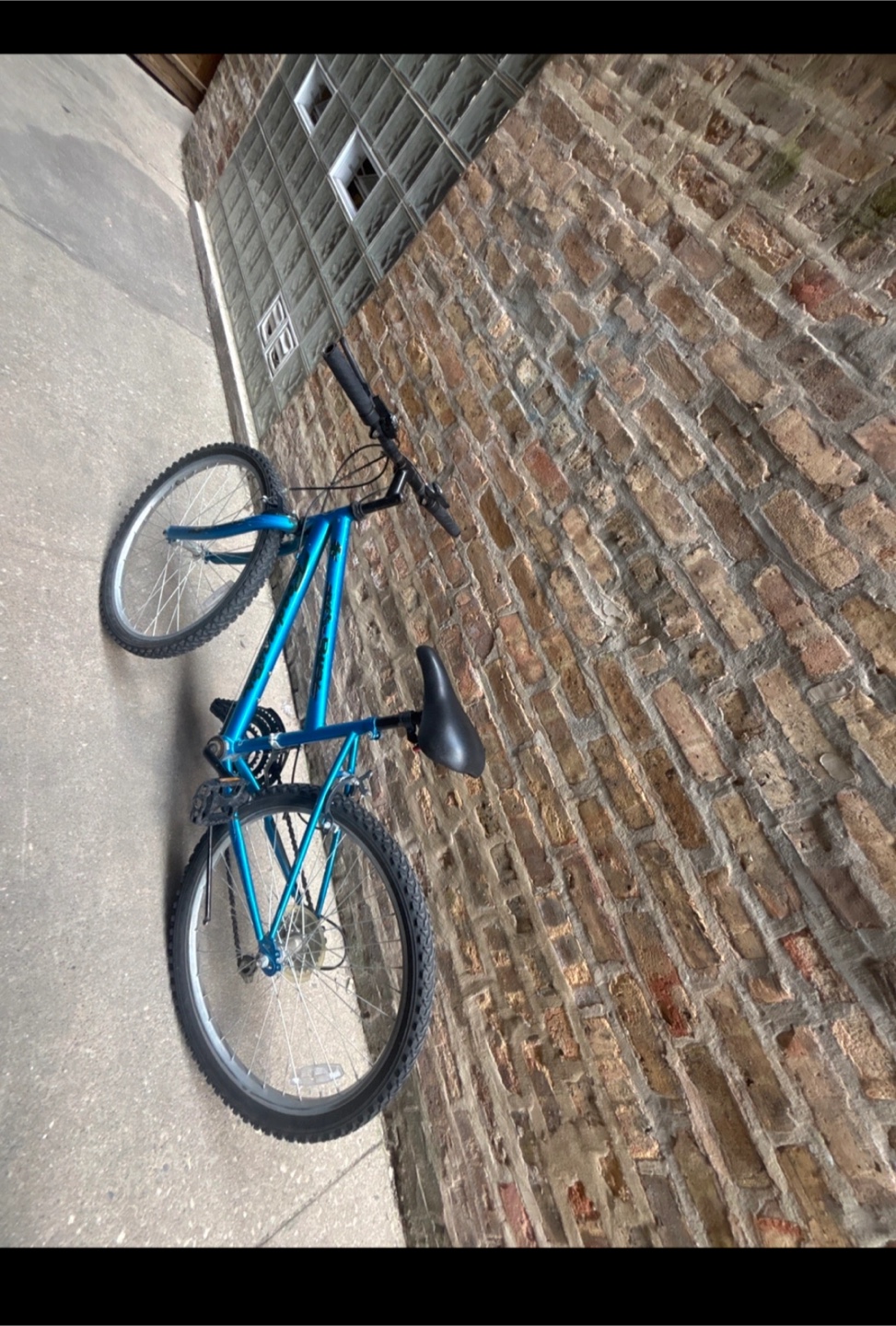 Blue Mountain Bike