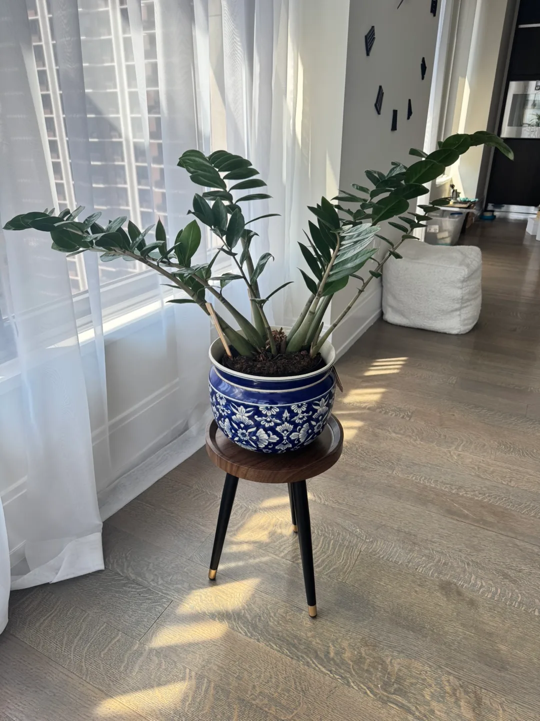 1 Walnut Small Coffee/End Tables, Plant Stands, Nightstands image indicator(2)