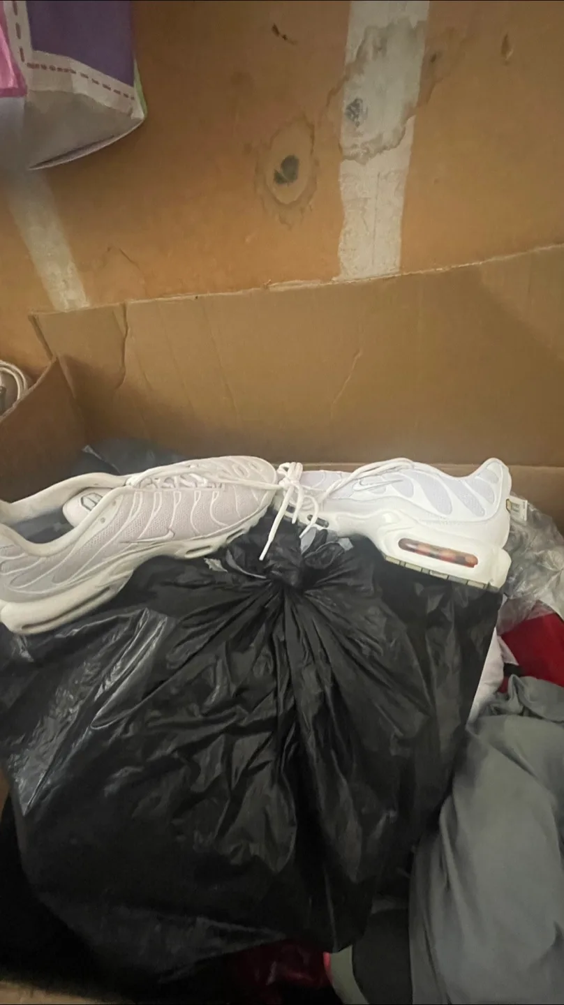 Nike Air Max Plus TN White, Size 9 US image indicator(3)