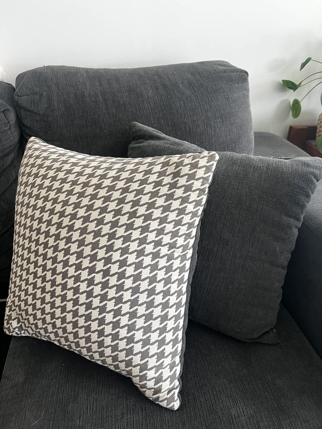 Decorative Throw Pillows thumbnail
