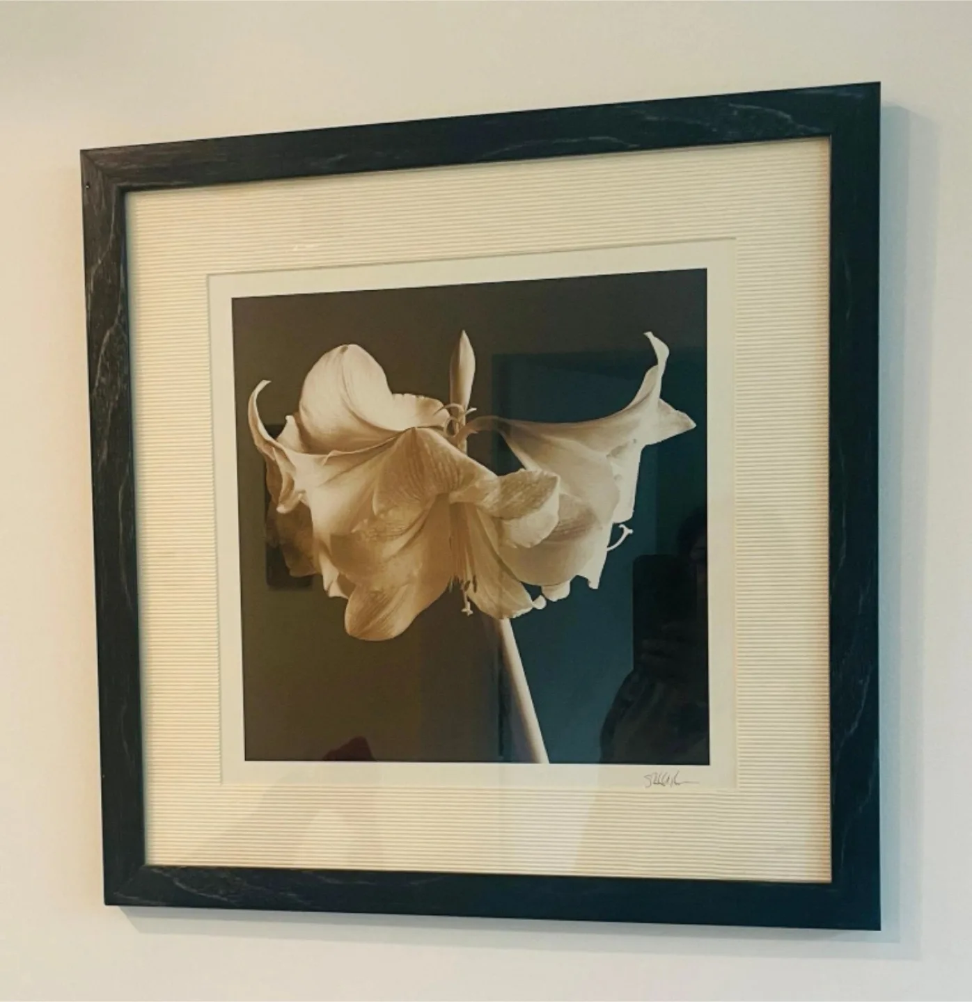 Two Framed Floral Print Wall Art image indicator(3)