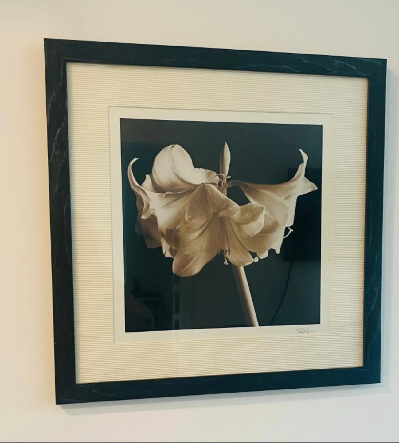 Two Framed Floral Print Wall Art image indicator(2)