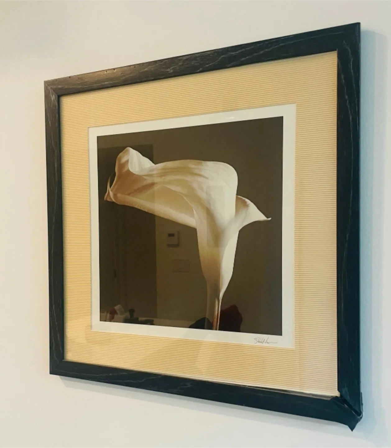 Two Framed Floral Print Wall Art image indicator(4)