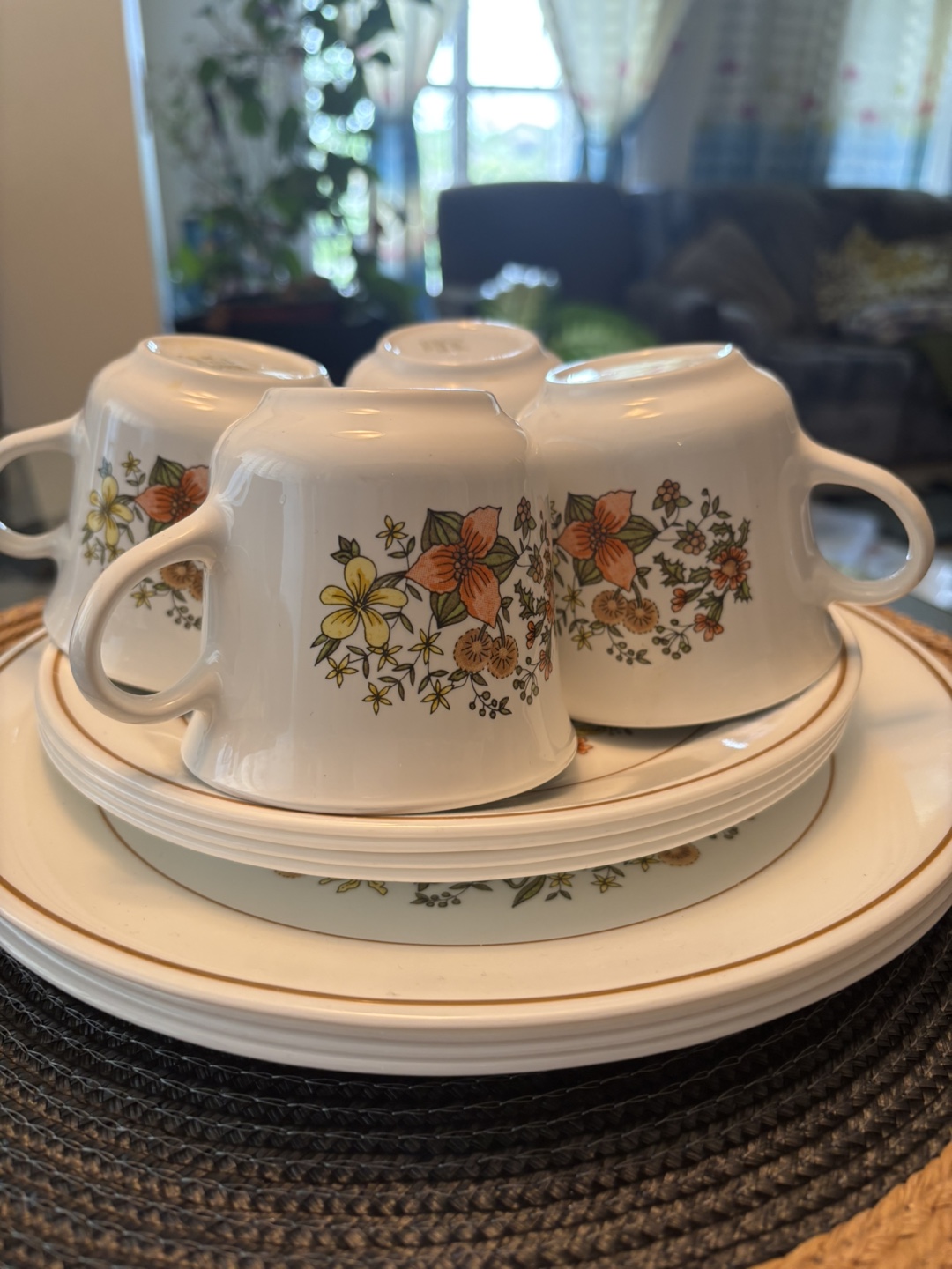 1 set corelle