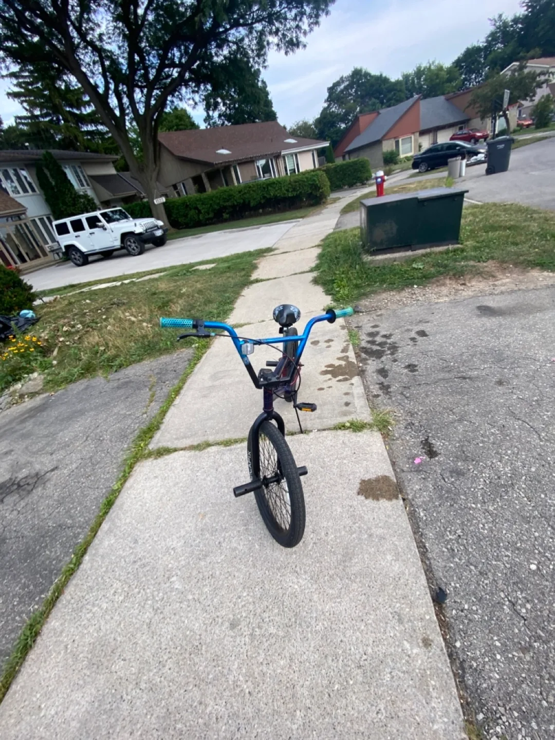 BMX Bike - Blue and Red image indicator(4)
