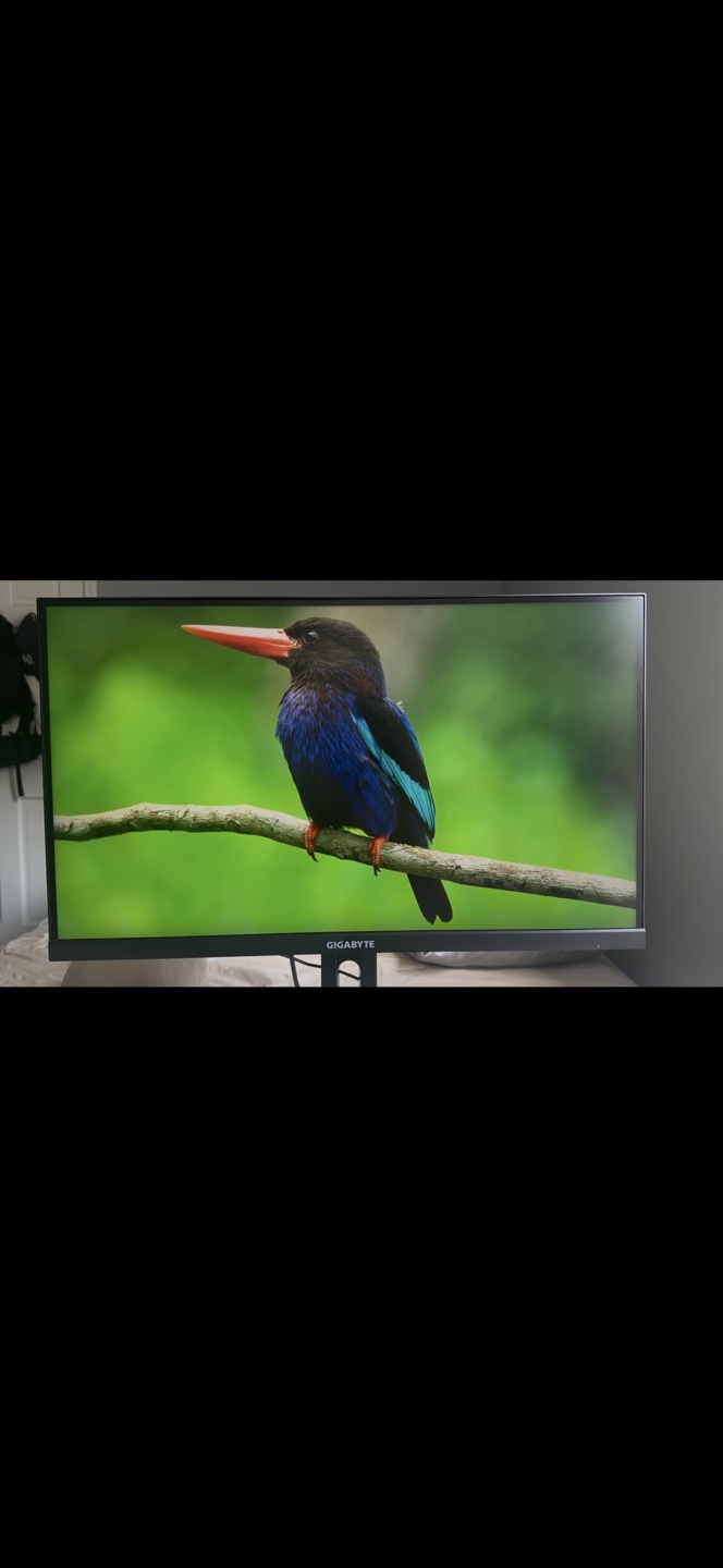 Gaming Monitor 27" 165 Hz 1440p - photo 2