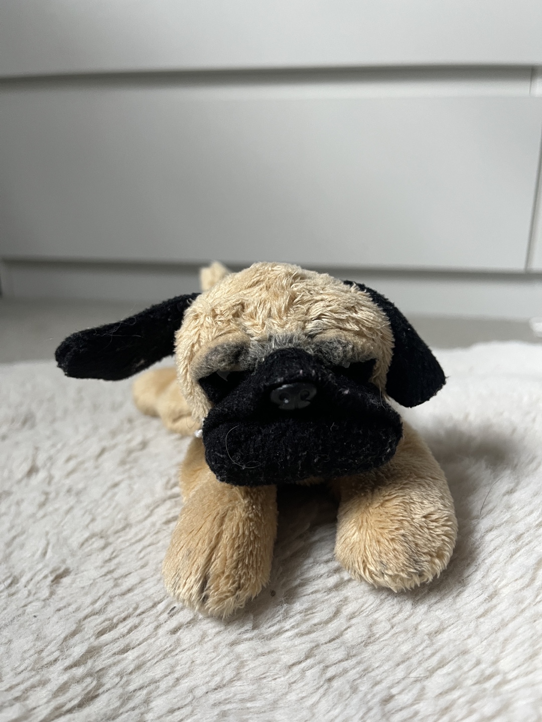Little Dog Plush Toy